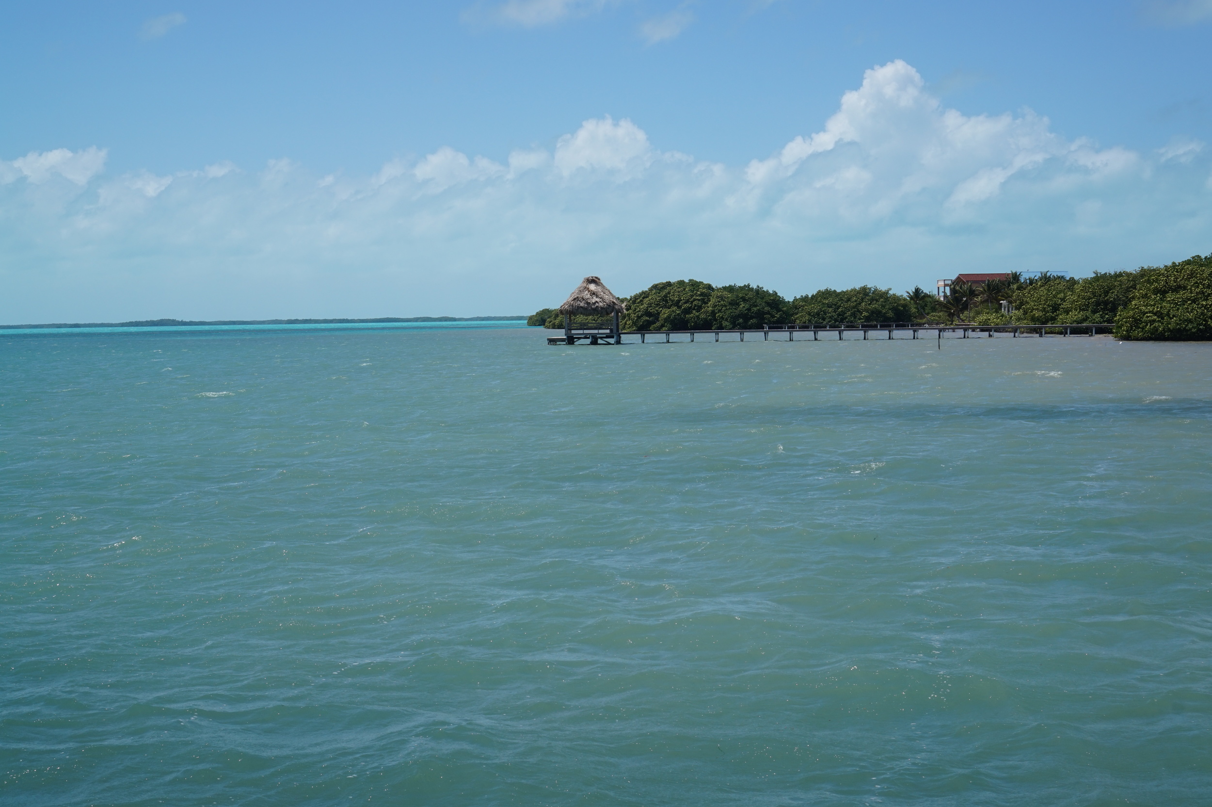 DSC05859.JPG