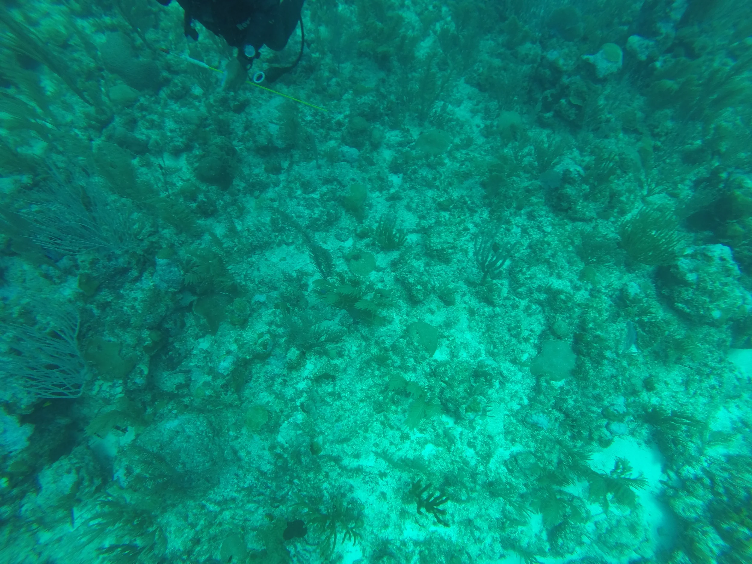 GOPR0053.JPG