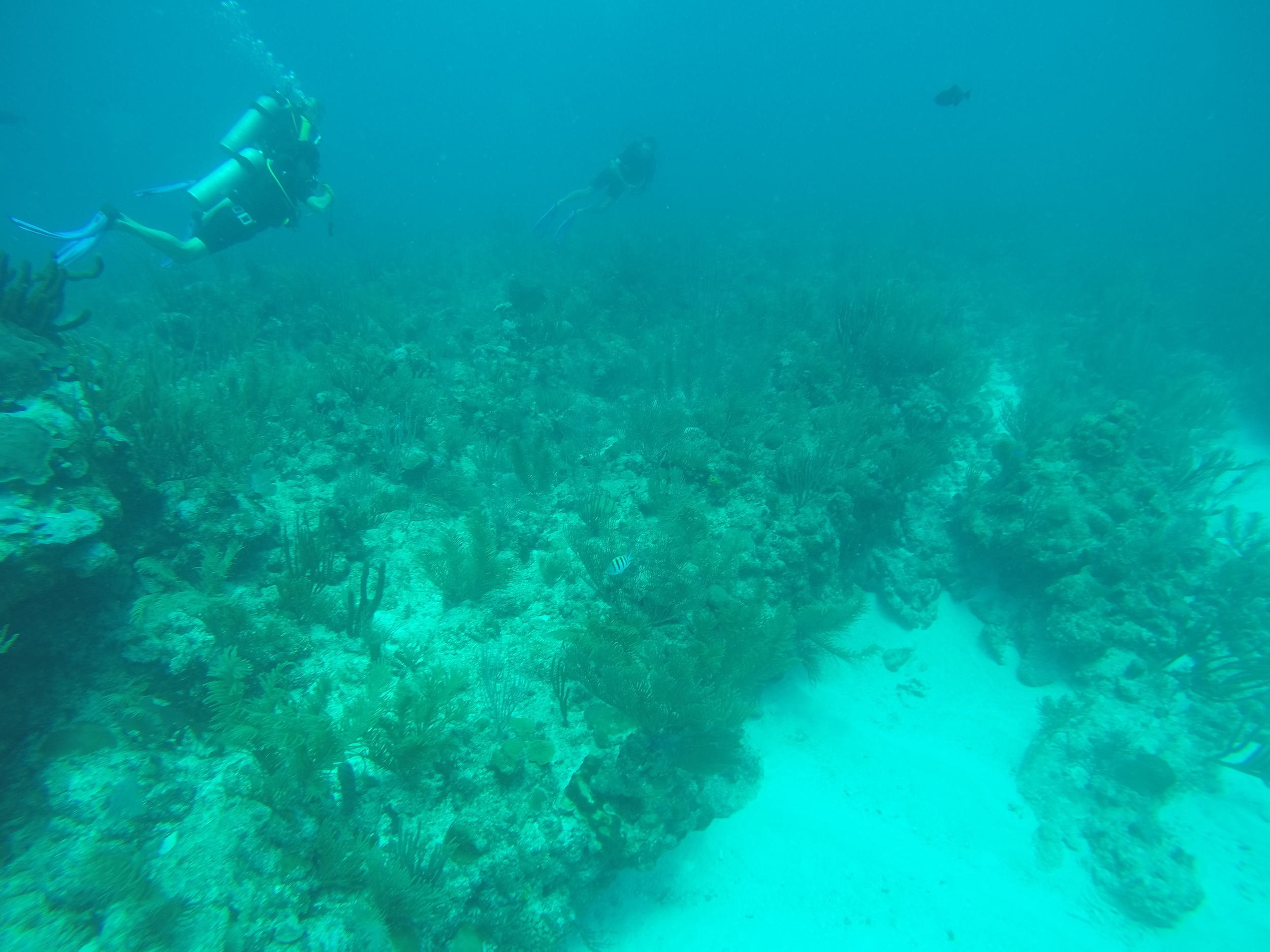 GOPR0062.JPG