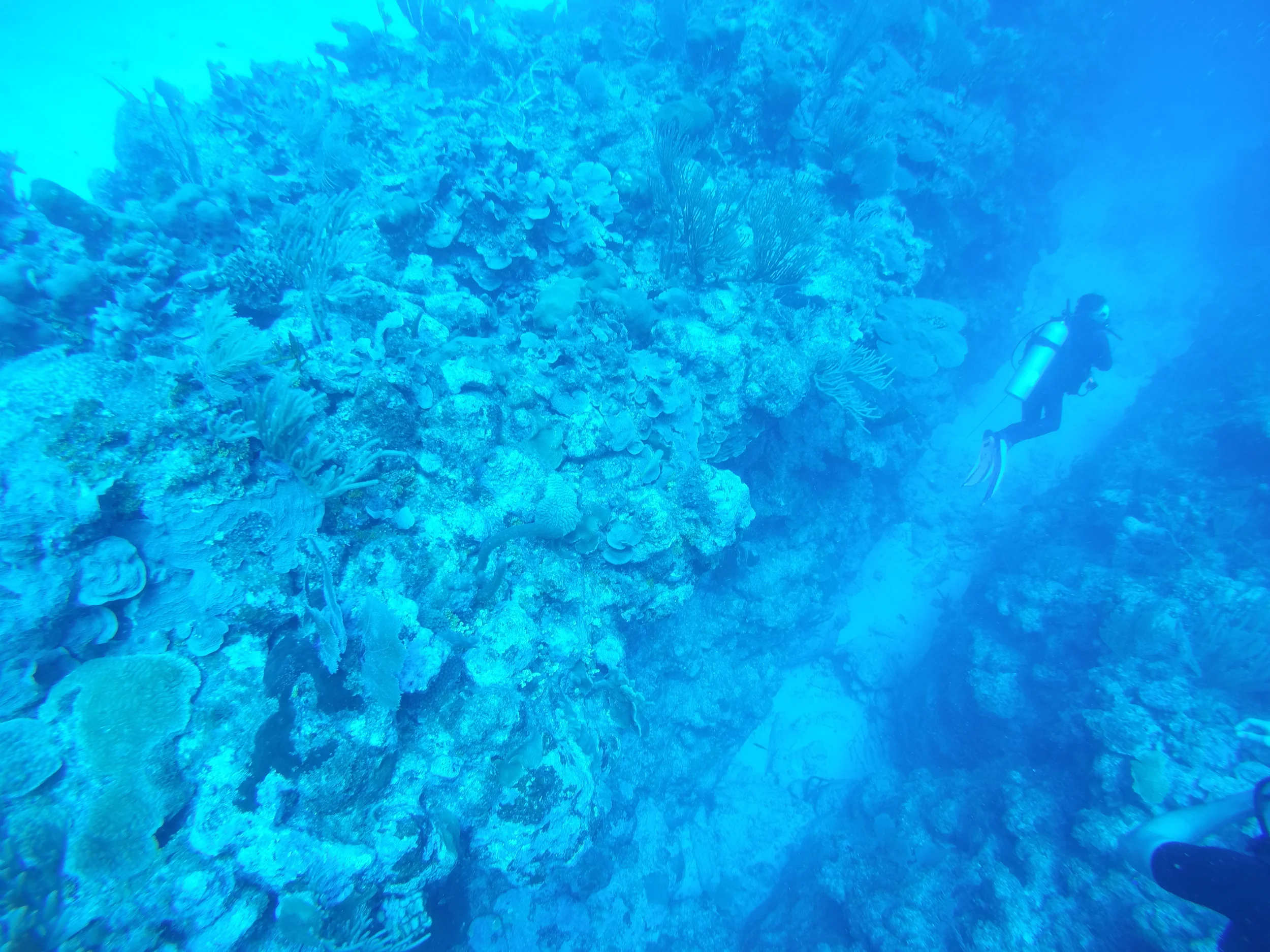 GOPR0073.JPG