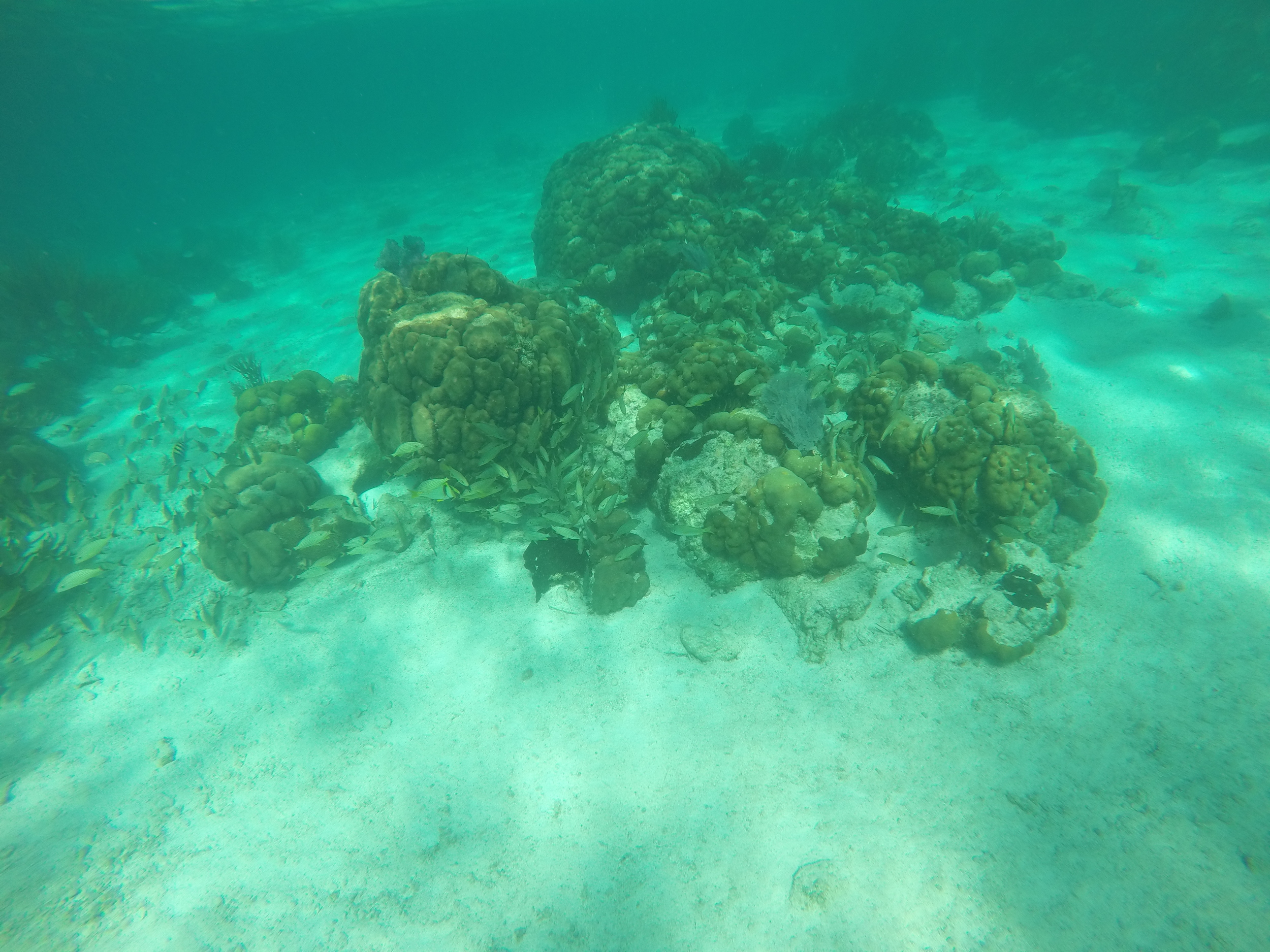 GOPR0149.JPG