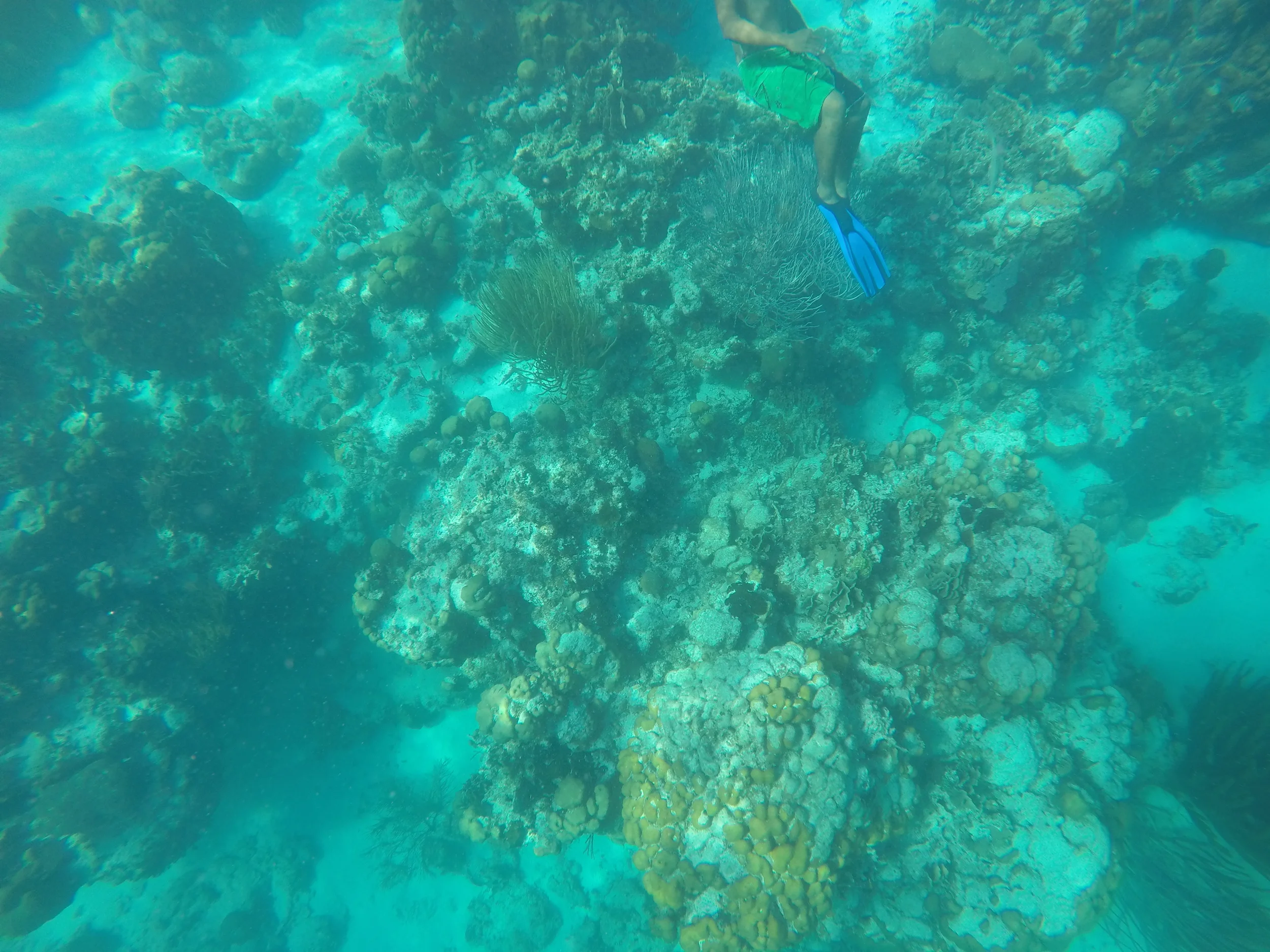GOPR0211.JPG