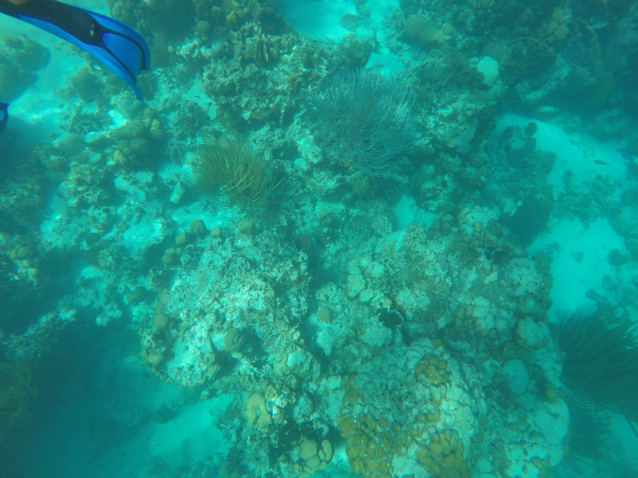 GOPR0213.JPG