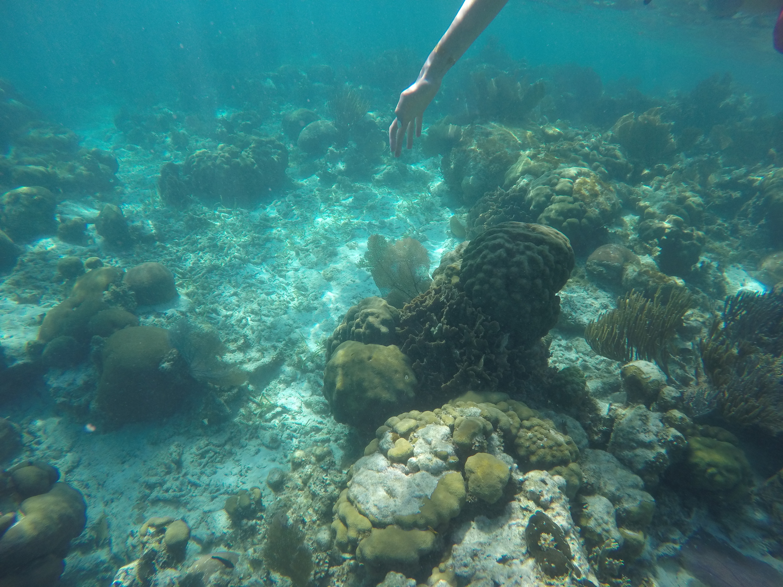 GOPR0223.JPG