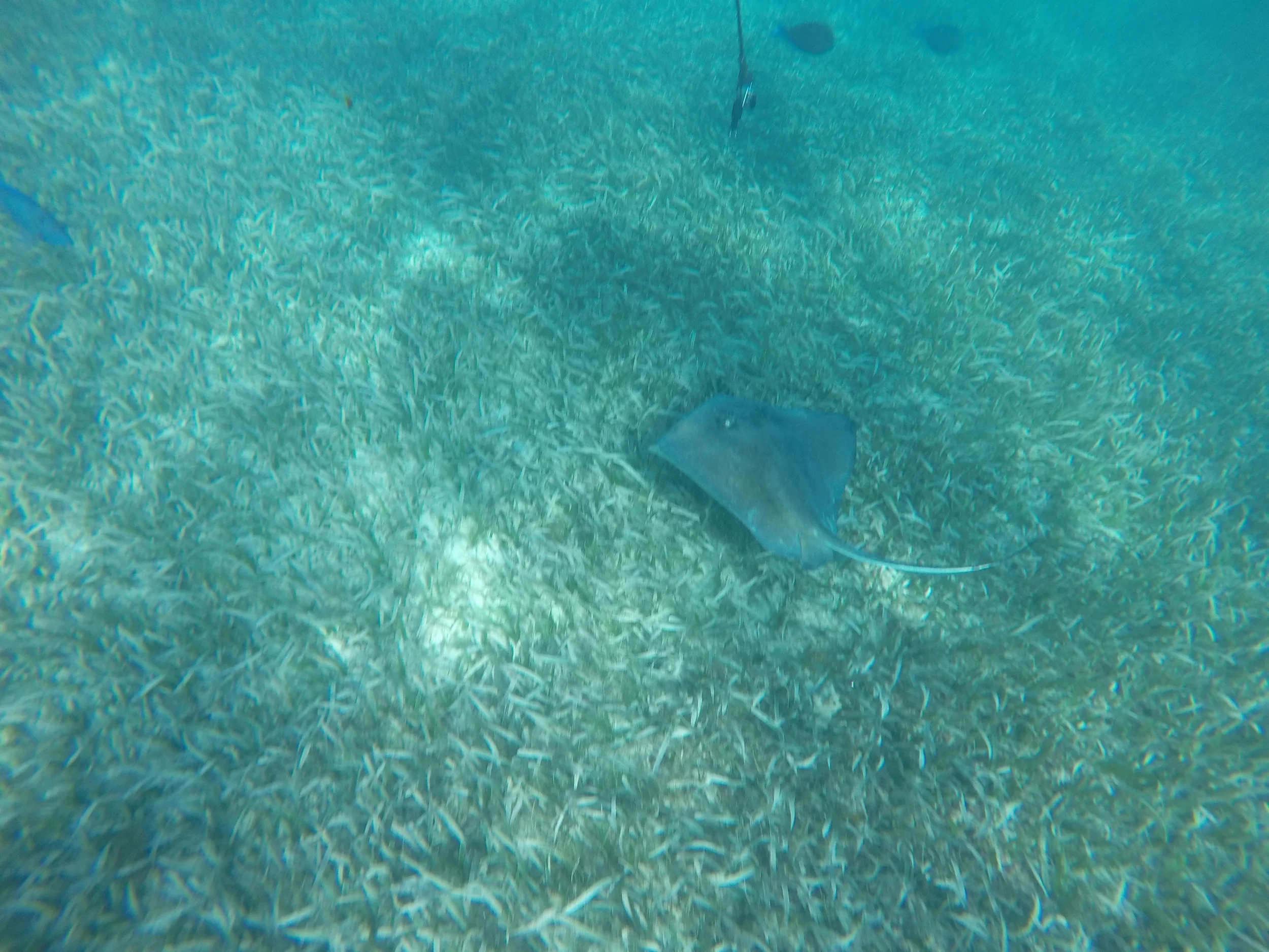 GOPR0367.JPG