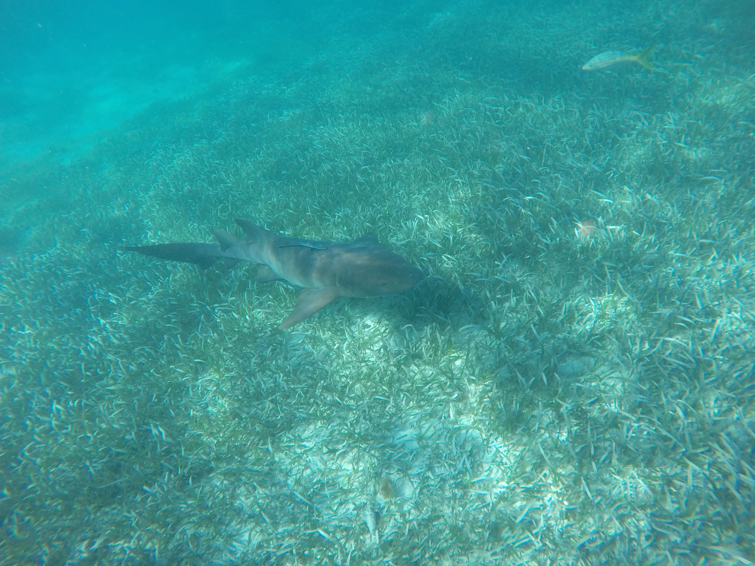 GOPR0369.JPG