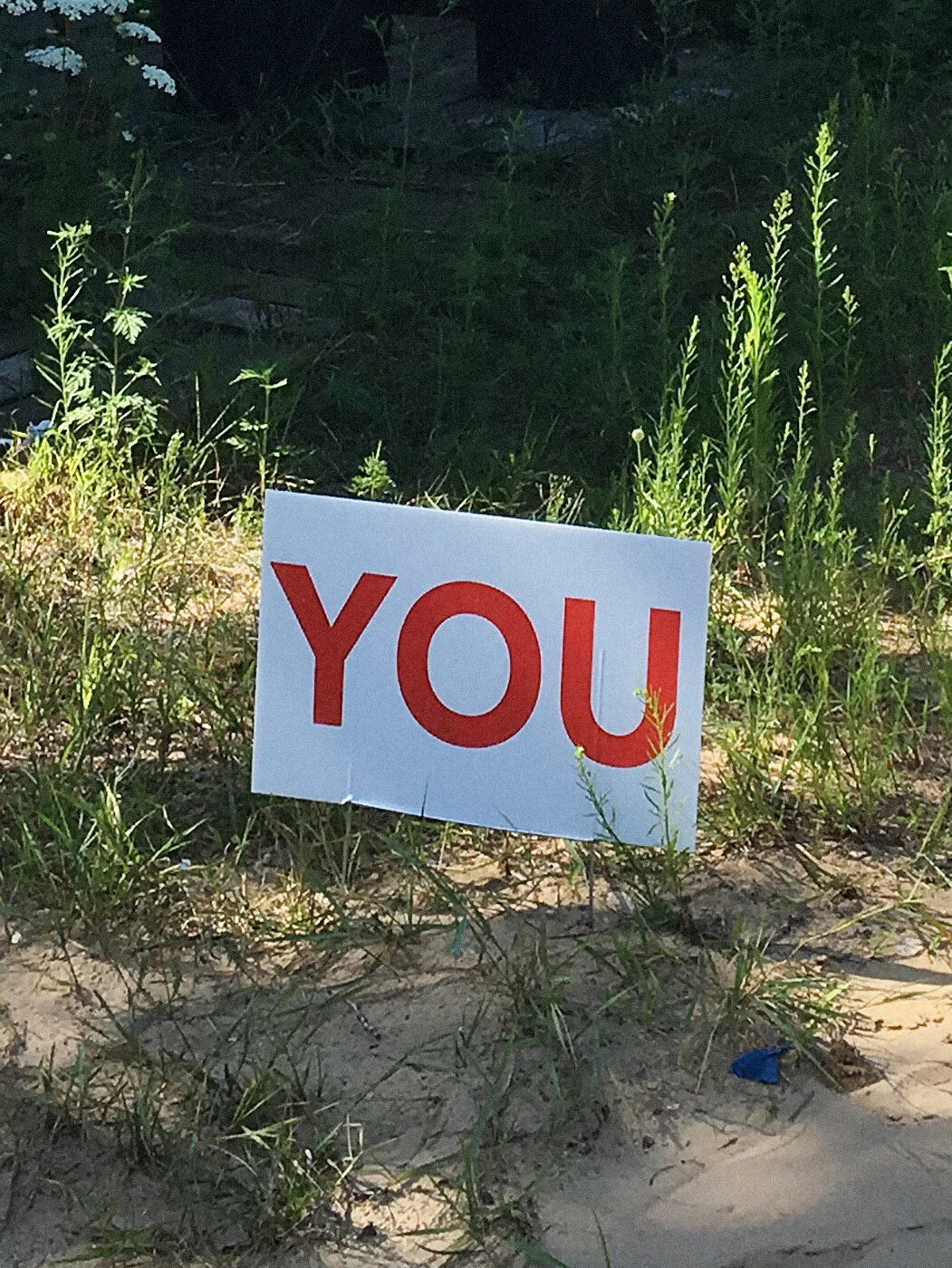 Not what you think, 2019