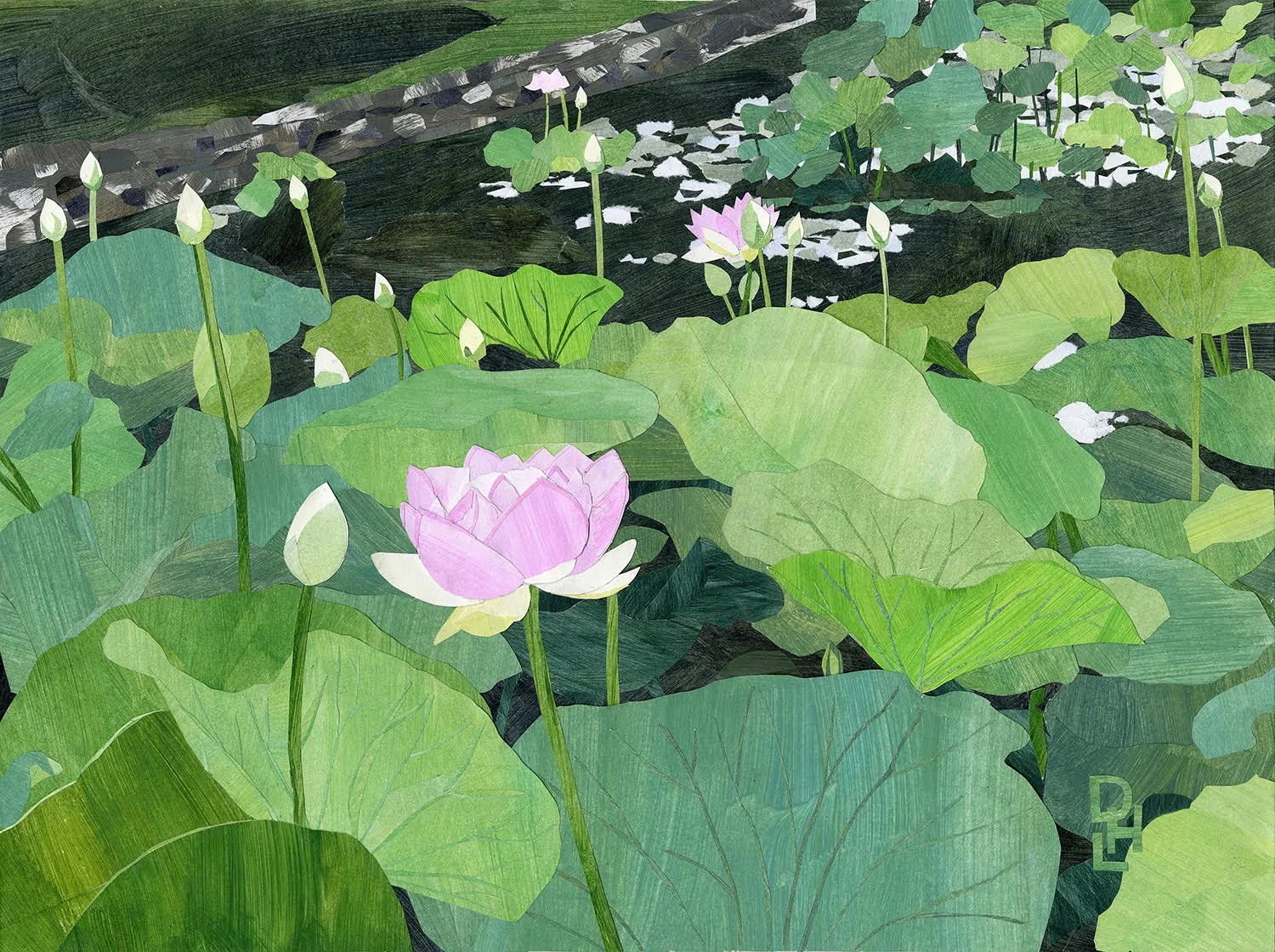 Lotus.jpg