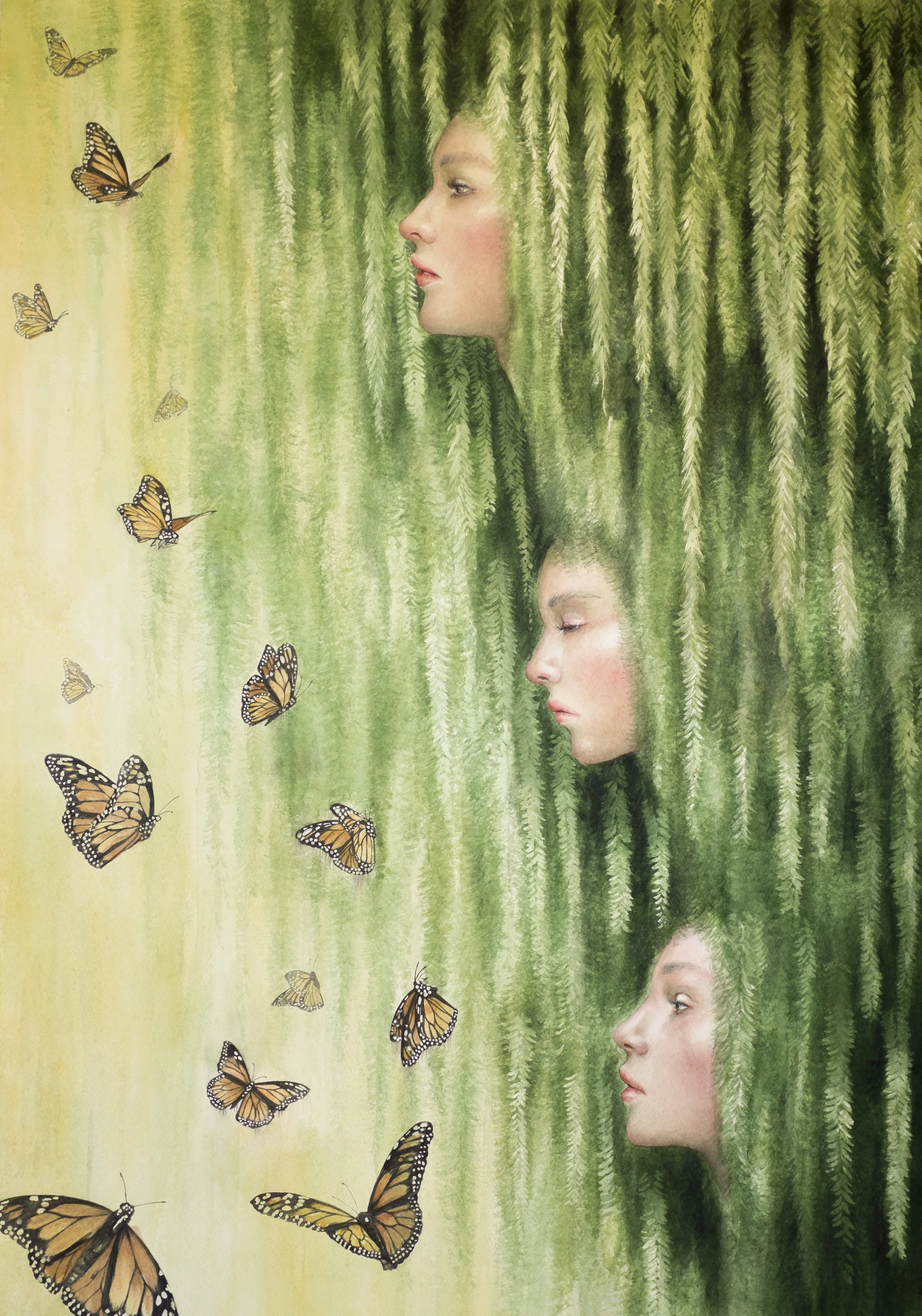 The 3 willow sisters
