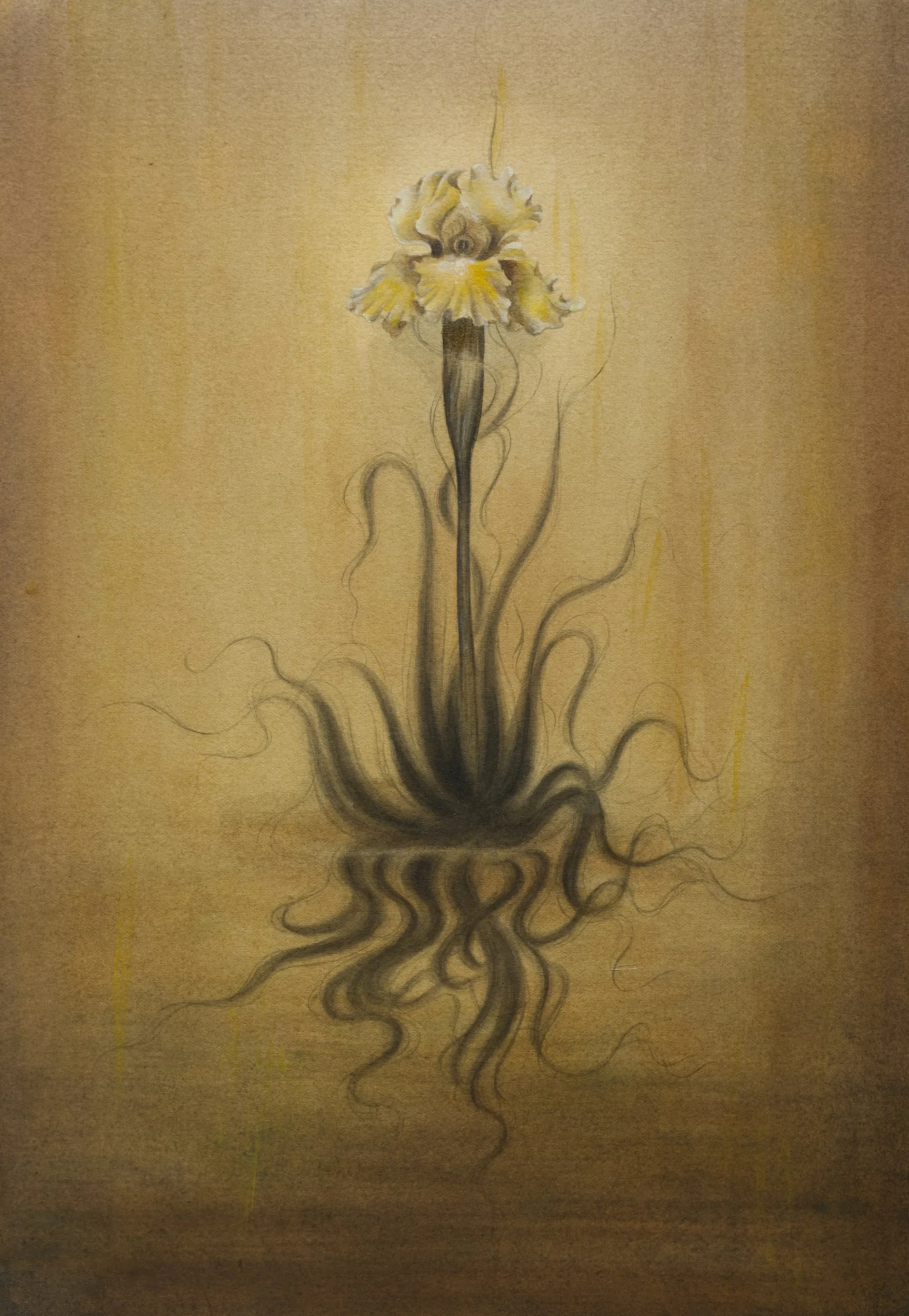 The poison of grace