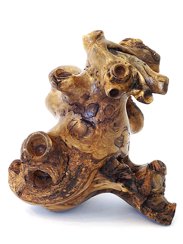 #0147_Ficus.jpg