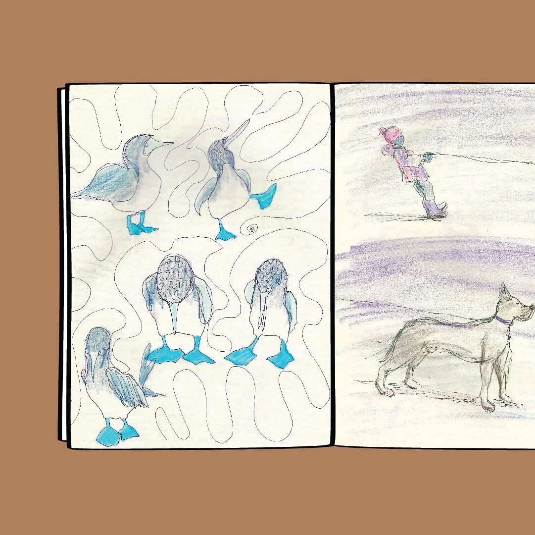 Jan 2021 for IG_9.jpg