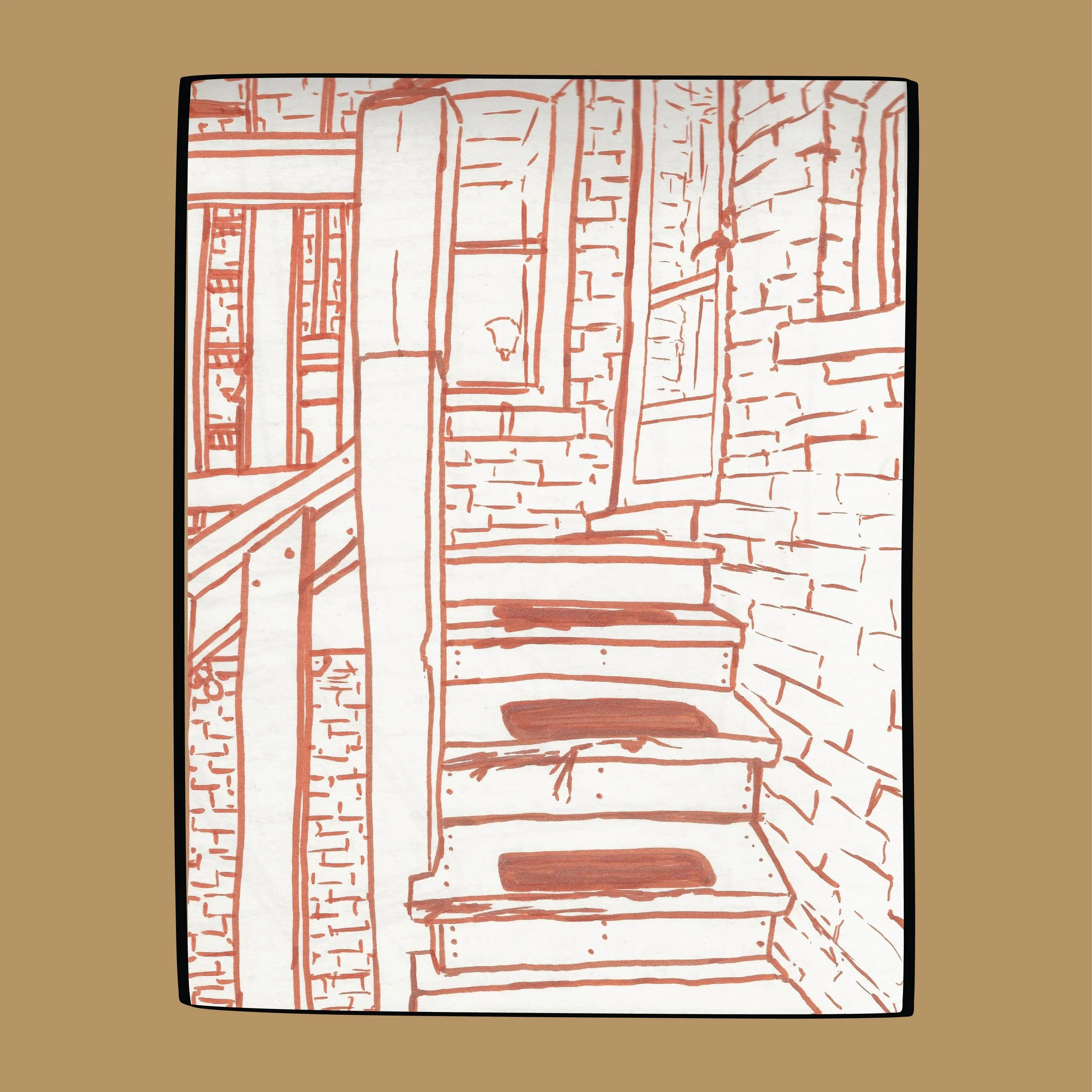 the back steps_7.jpg