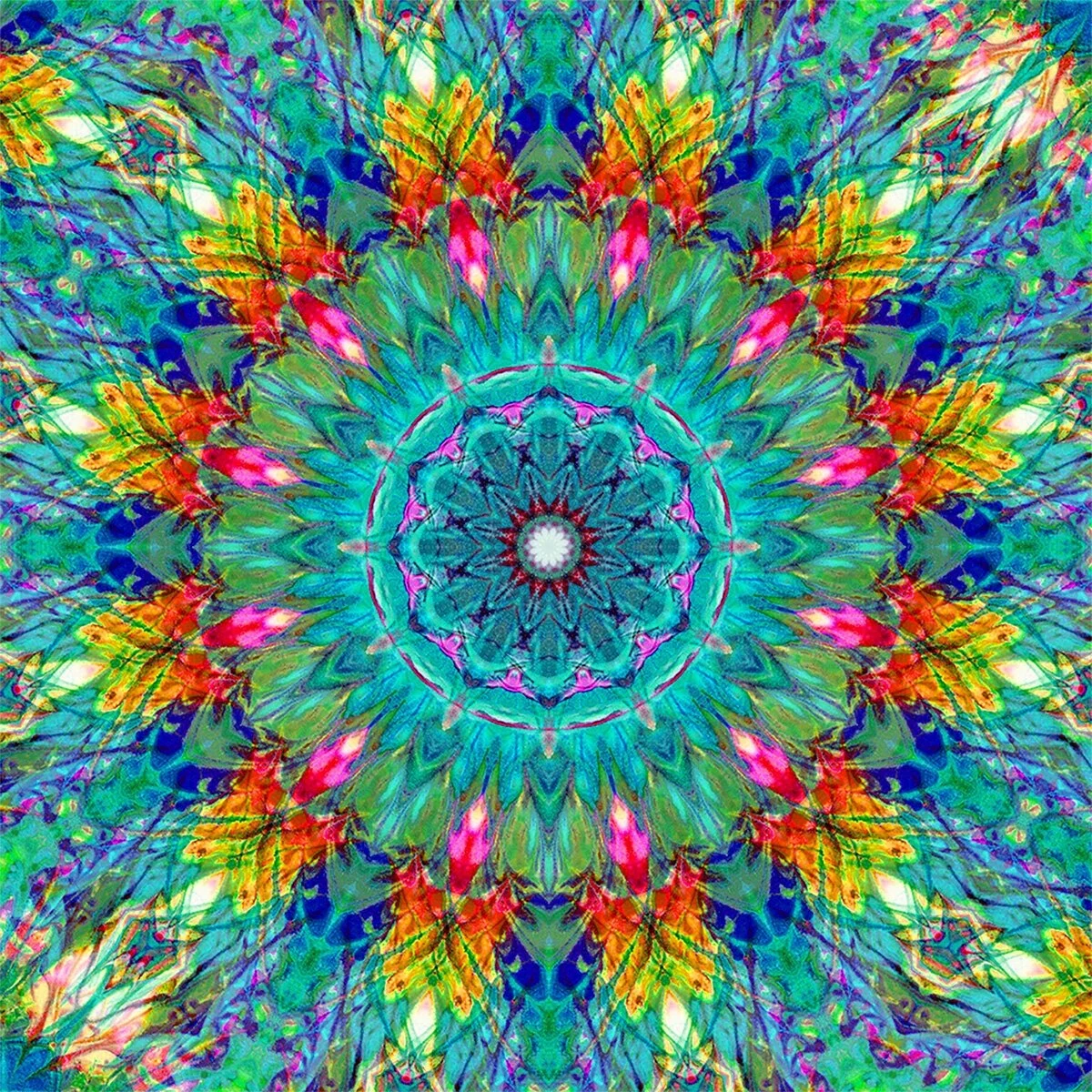 Starseed+Mandala+.jpg