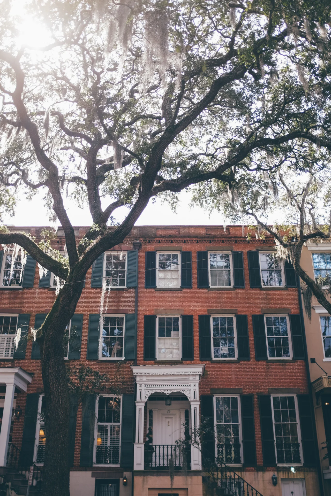 karch_savannah-5.jpg