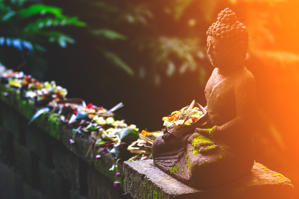 Budda Light a.jpg