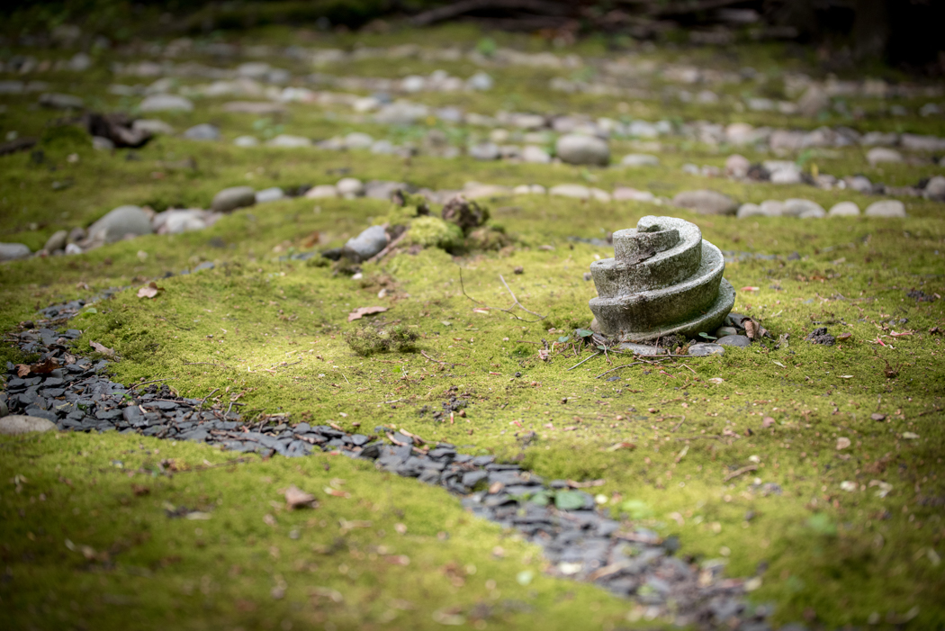DSC_8995.jpg