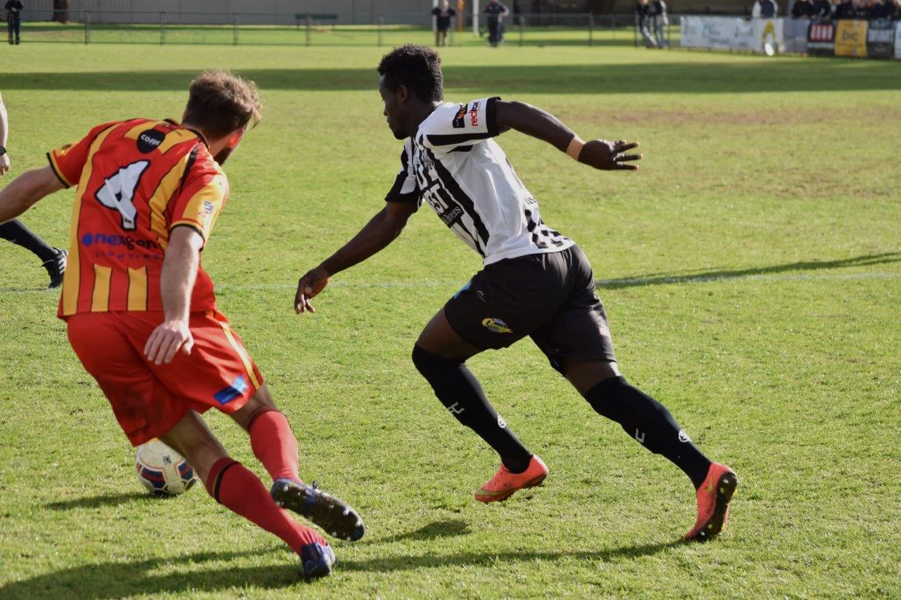 DSC_8762 crop and edit.jpg