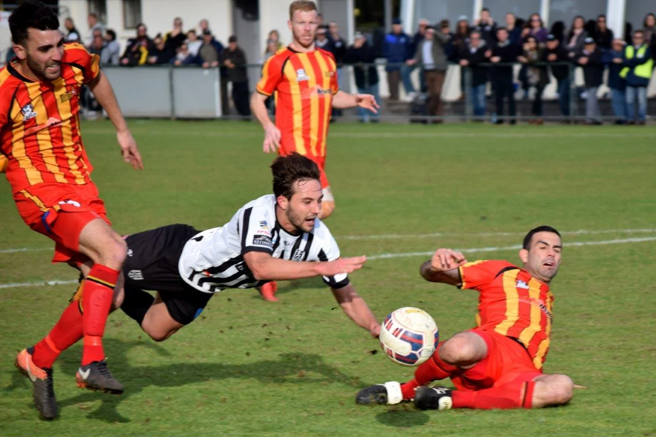 DSC_8786 croop and edit.jpg