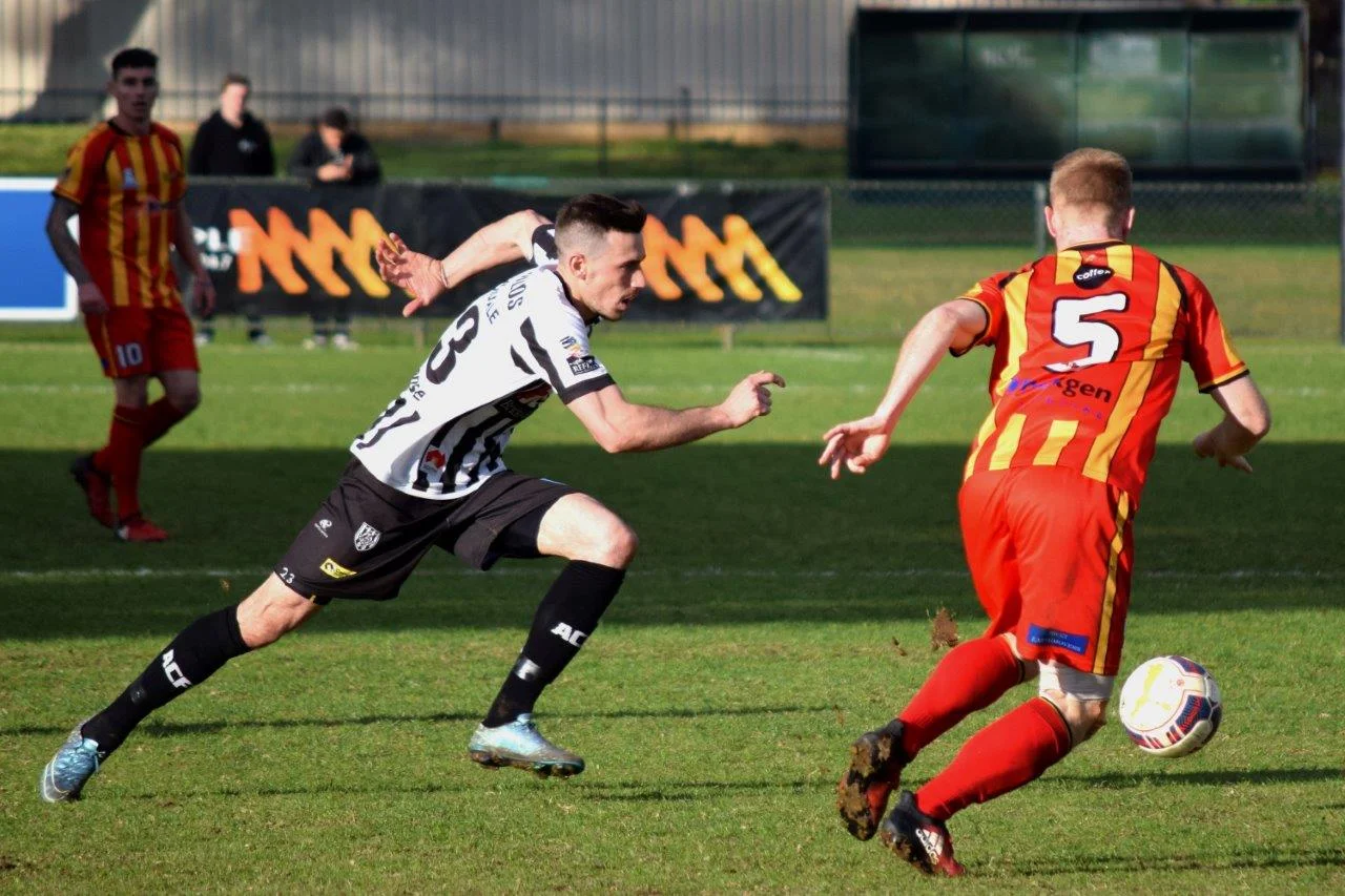 DSC_8858 crop and edit.jpg