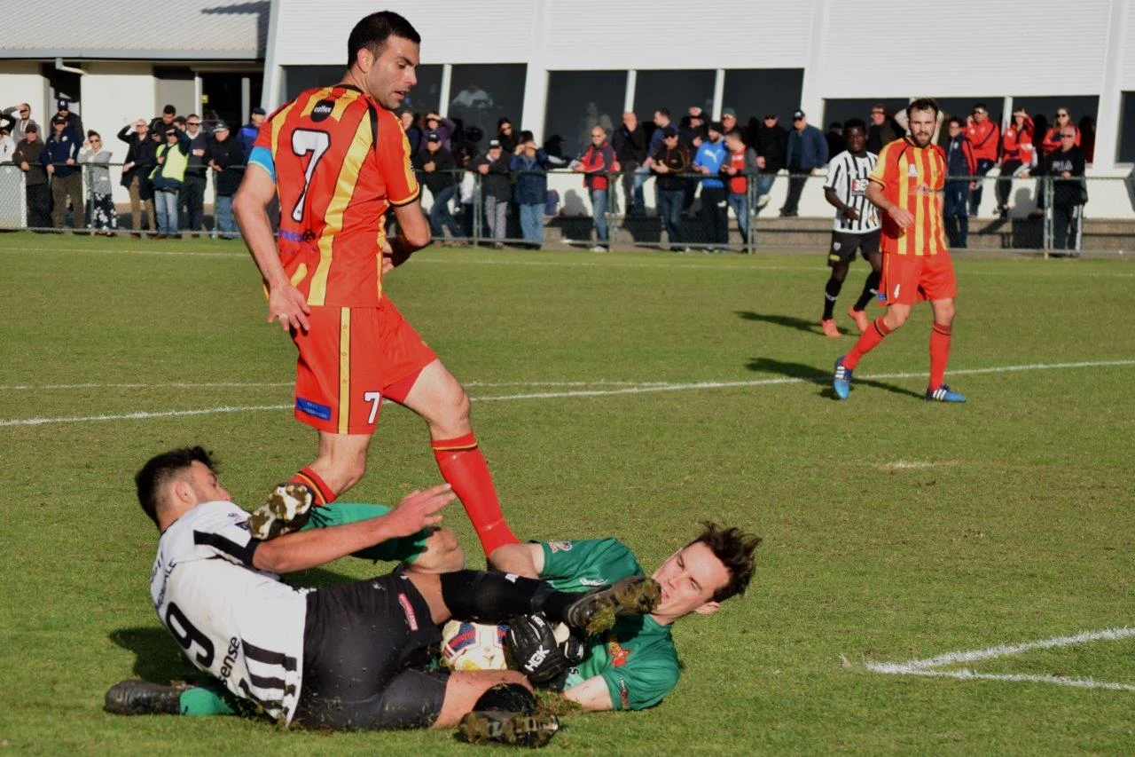 DSC_8872 crop and edit.jpg