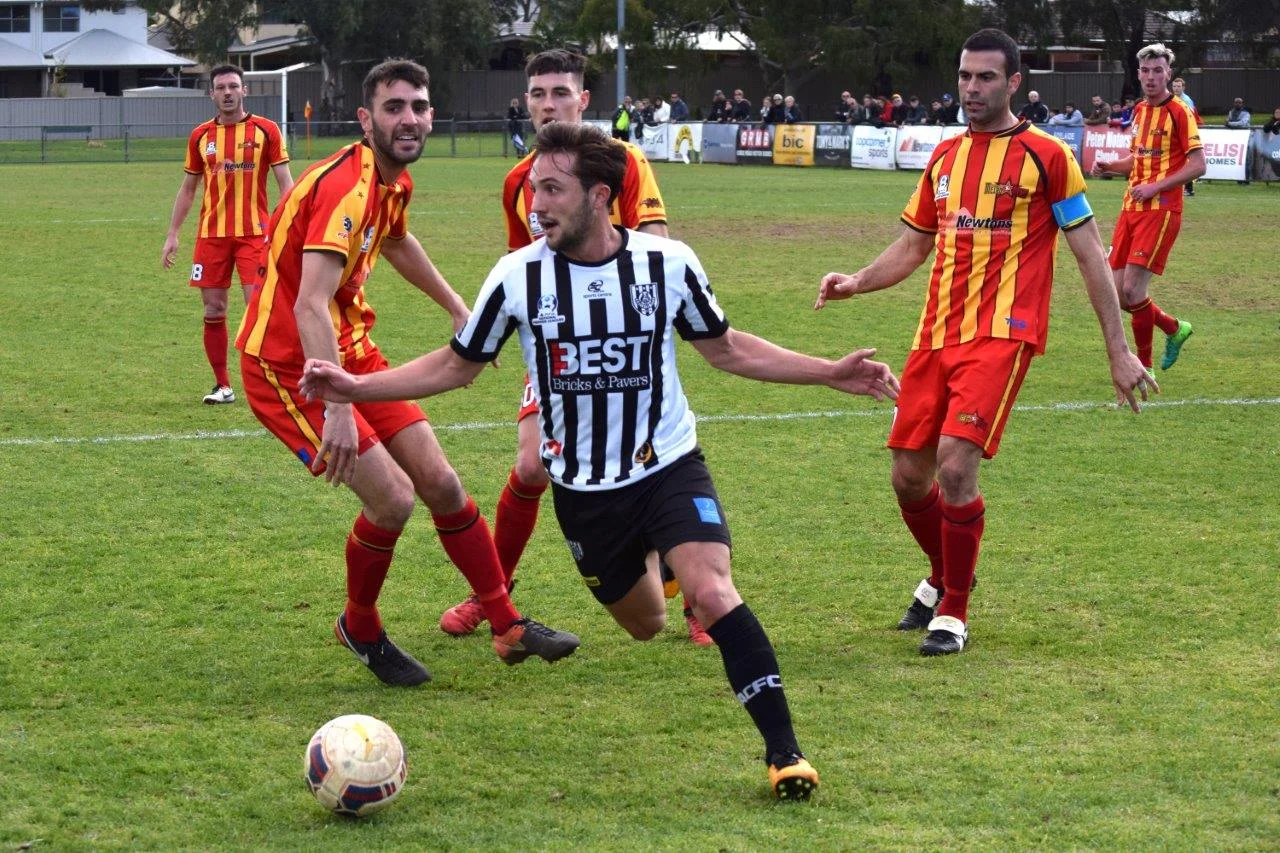 DSC_8593 crop and edit full size 1.jpg