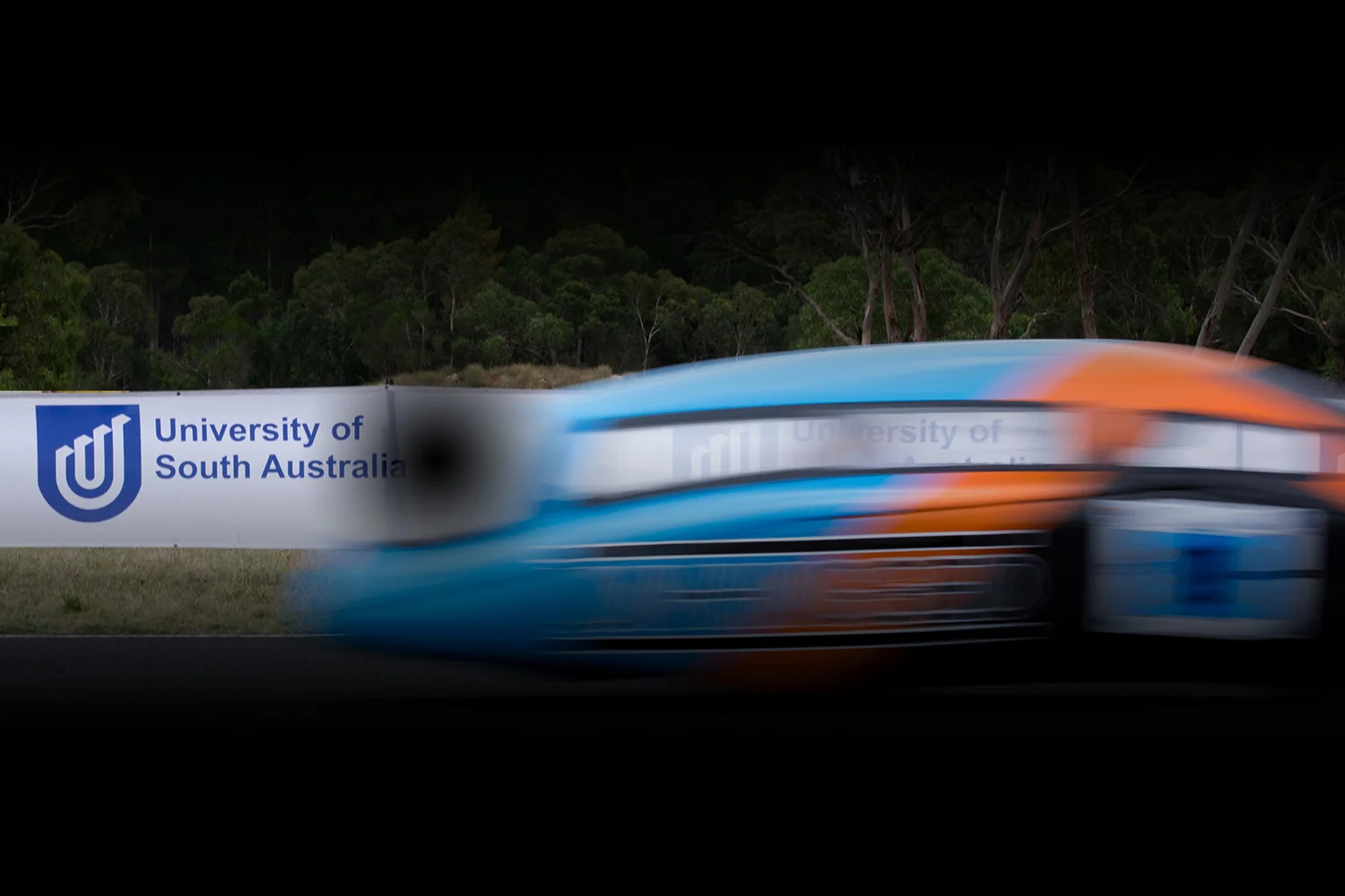 DSC_1772 grad 1500 small_edited-1.jpg