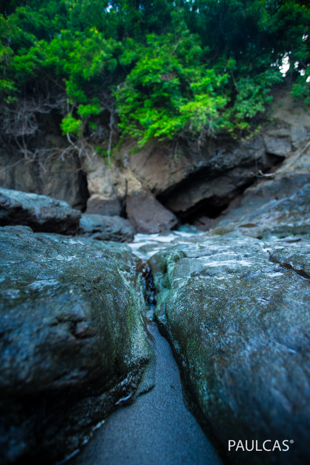 the island-4.jpg