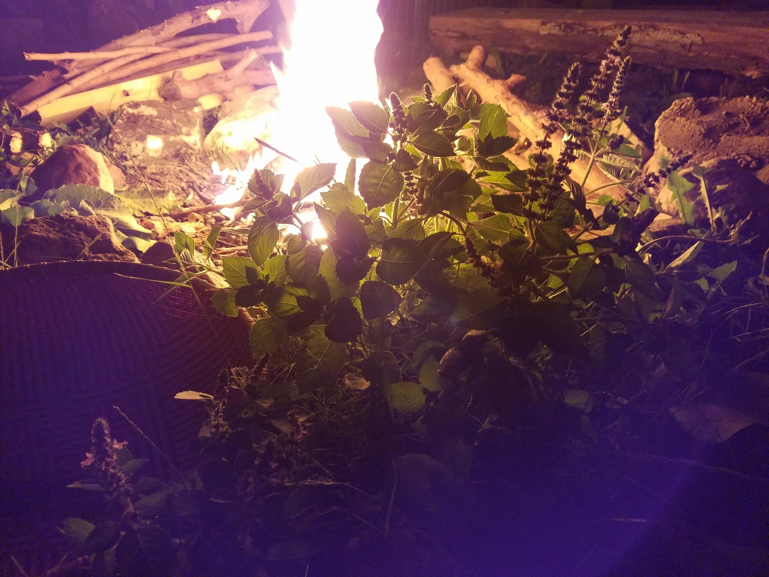 Anxiety and Depression Support - 2/25/18