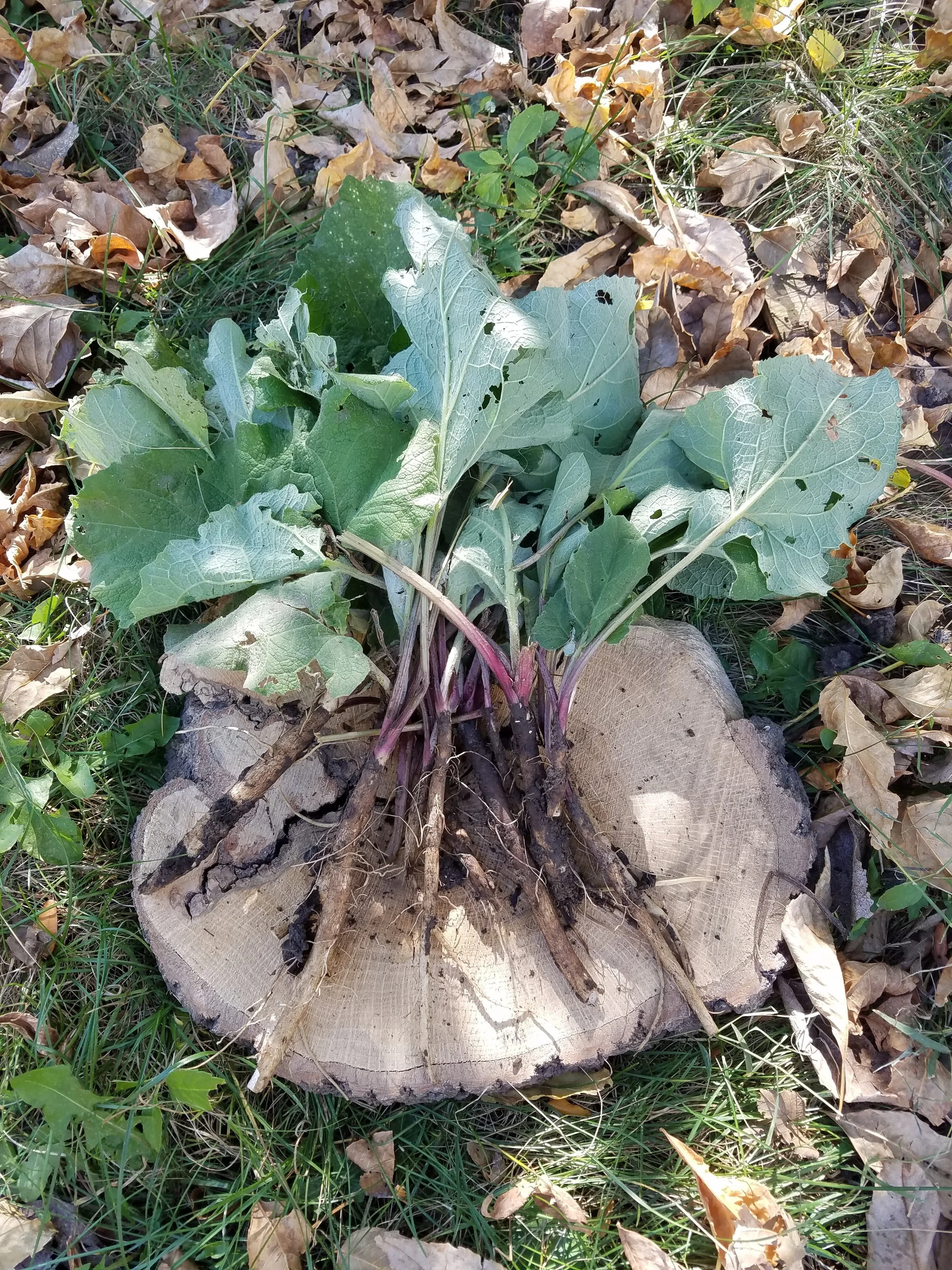 Headache Helpers - 4/29/18 (Please note DATE CHANGE)