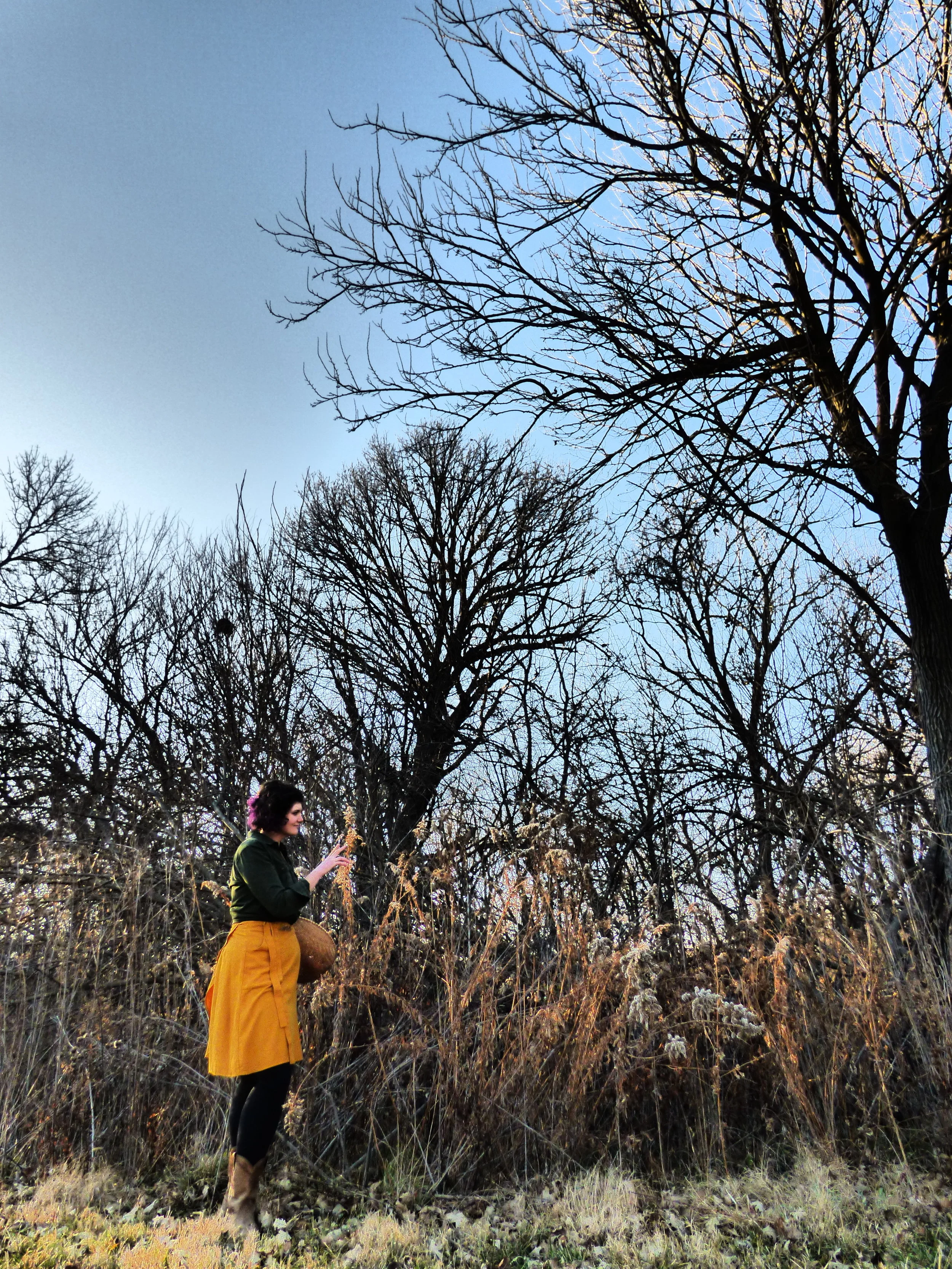 Herbal Allies for Depression - 3/25/19