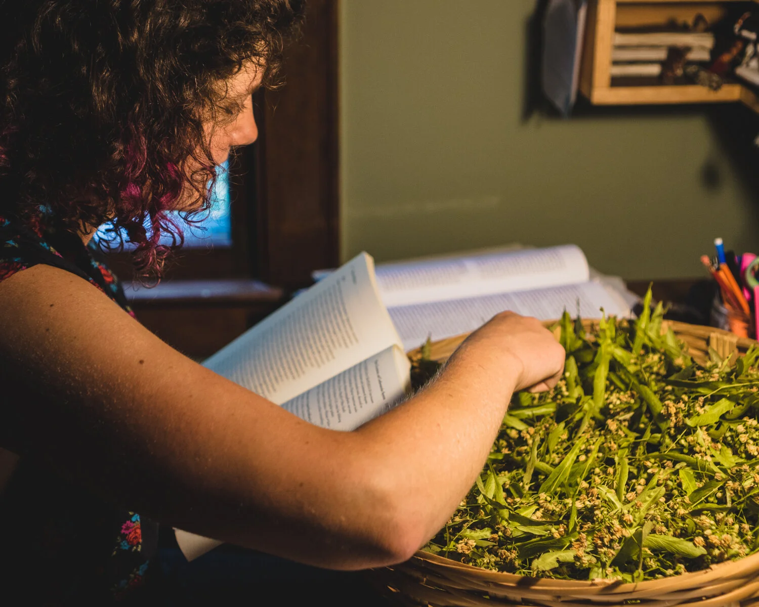 Intro to Herbalism - 10/25/19