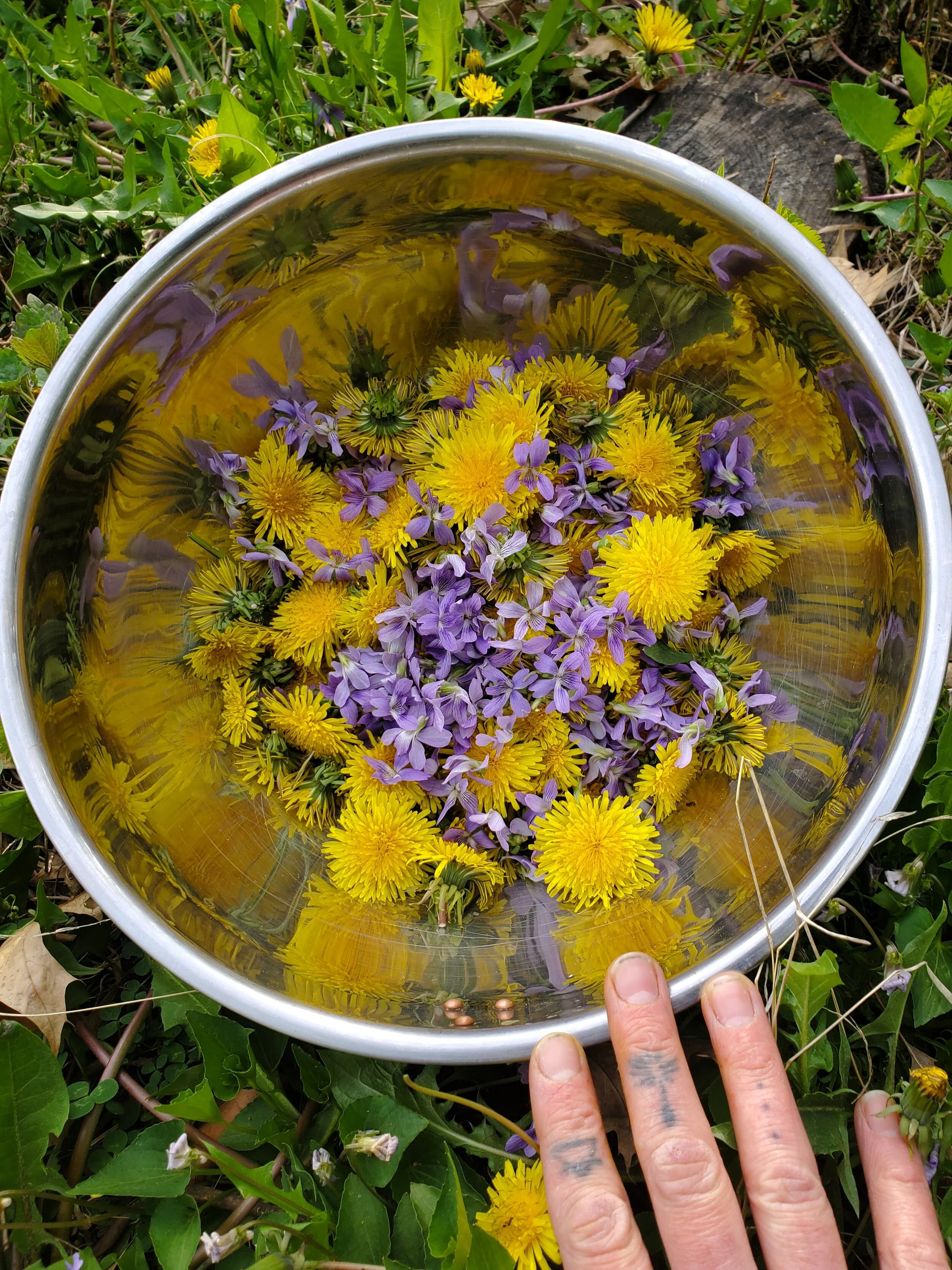 Herbal Support for Trying Times: Mental Health Mini-Series