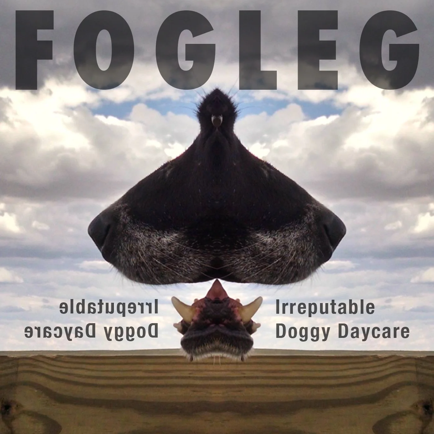 Fogleg_IDD_cover.jpg