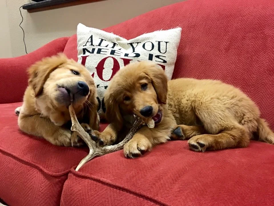 Hummer and Briggs at Retrieving Freedom
