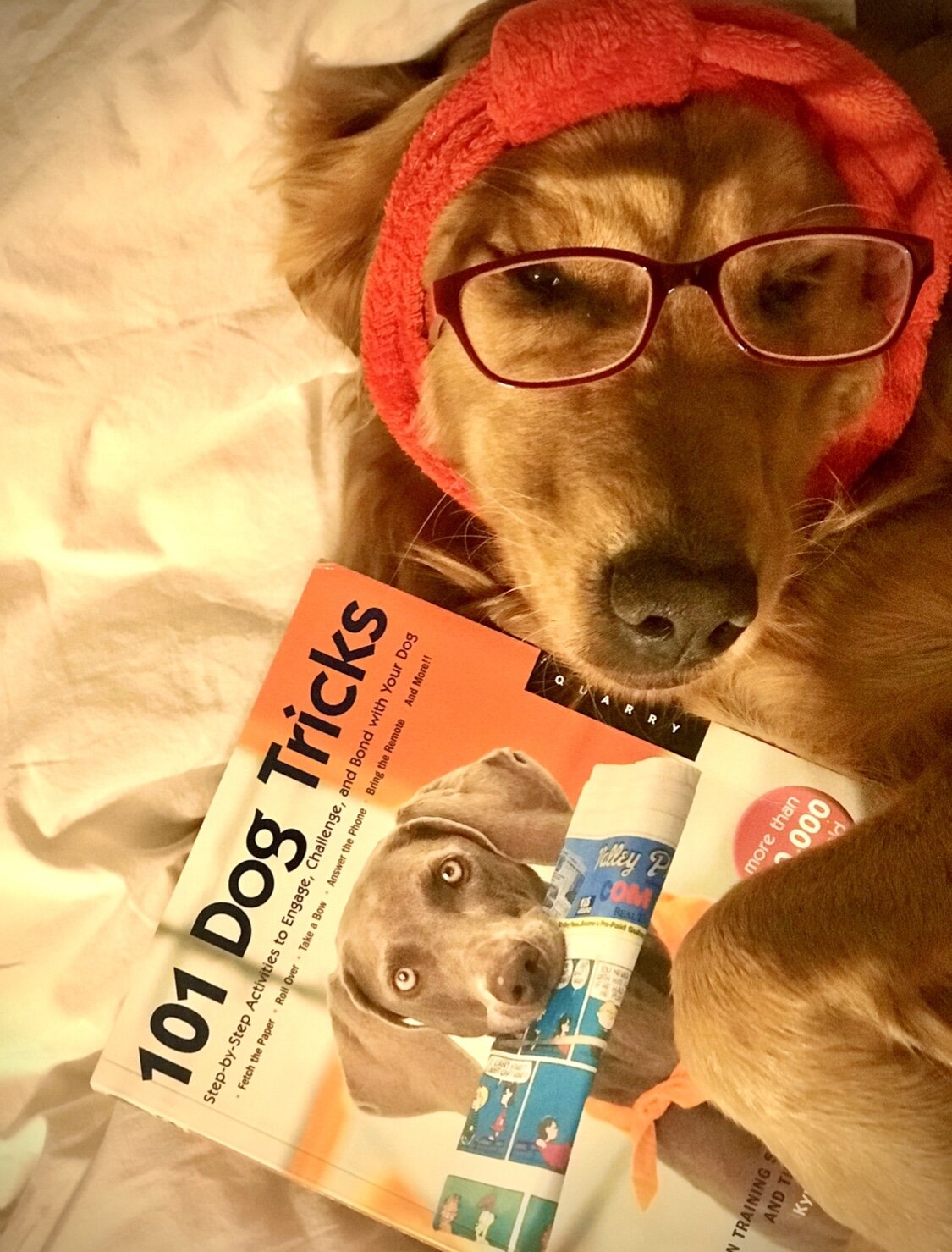 the bark.  (vol. 20. ed. 2)