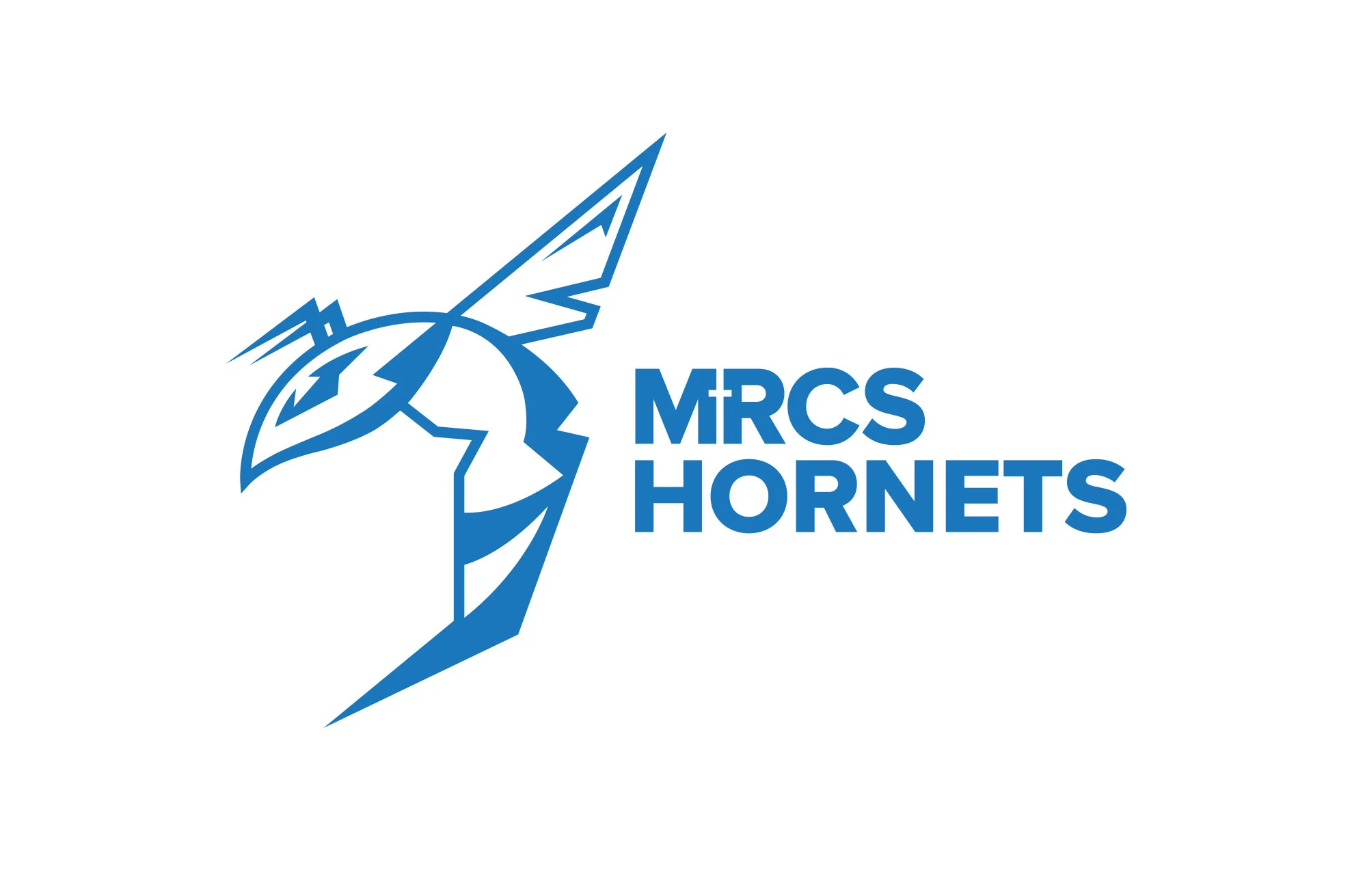 +mrcs-hornets-identity.jpg