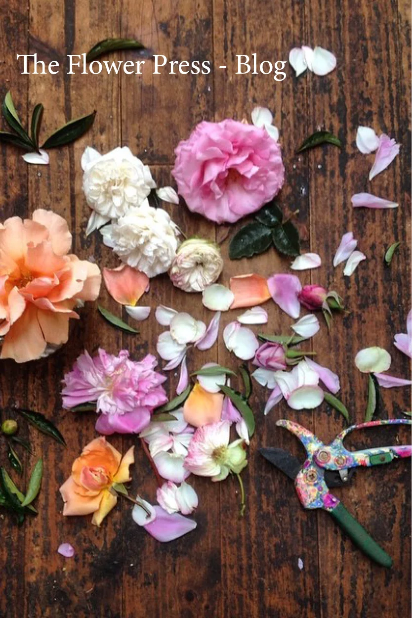 The Flower Press Blog, November 2017