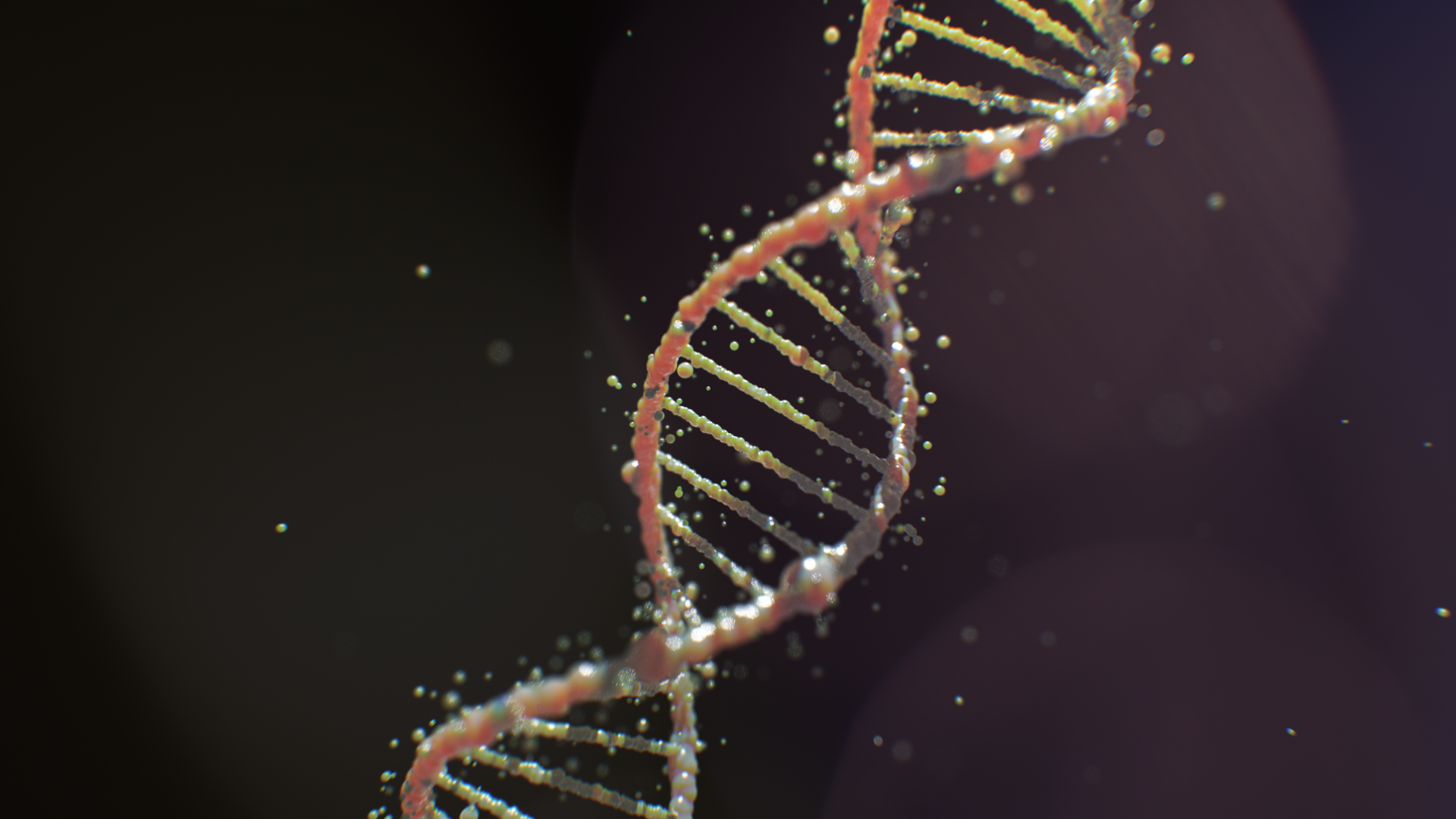 DNA_test01.png