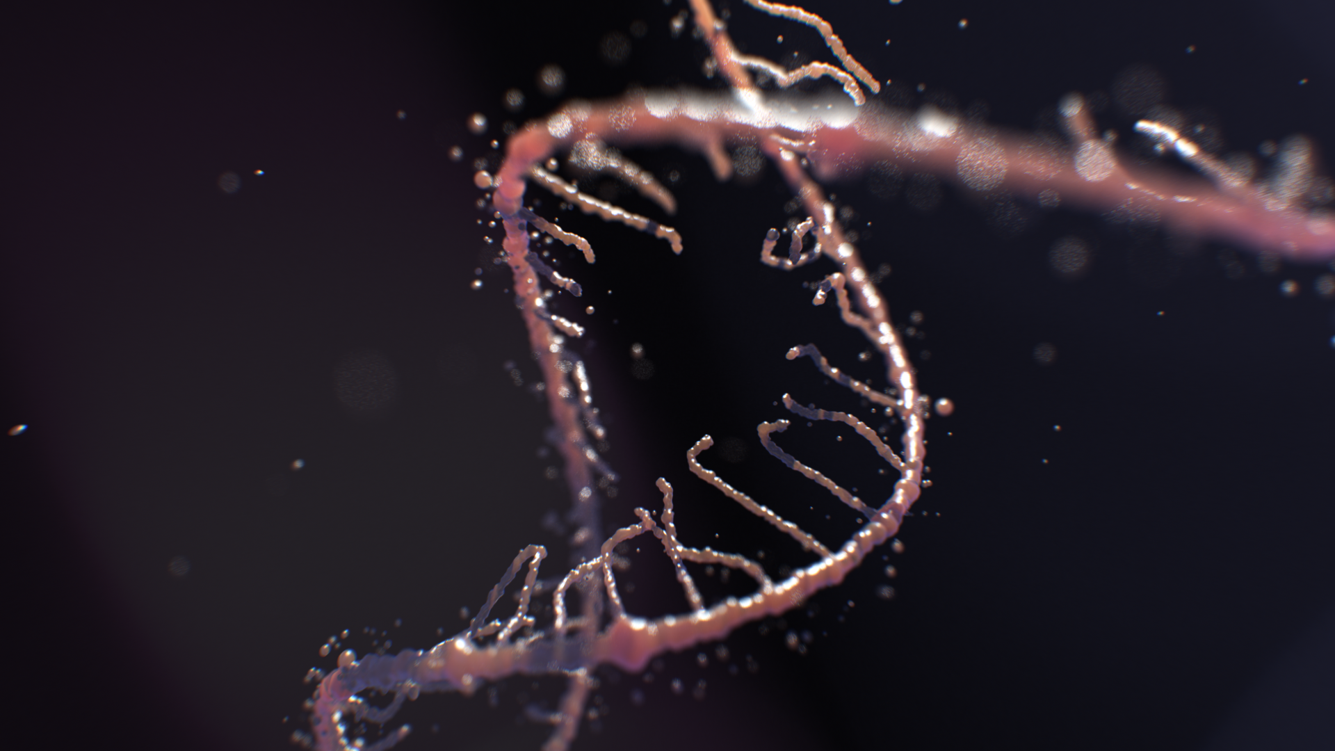 DNA_test04.png