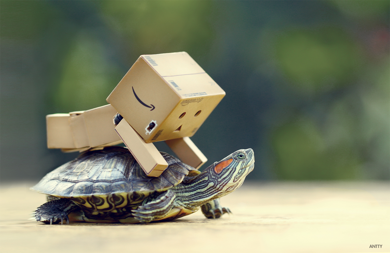 Bumpy Ride
