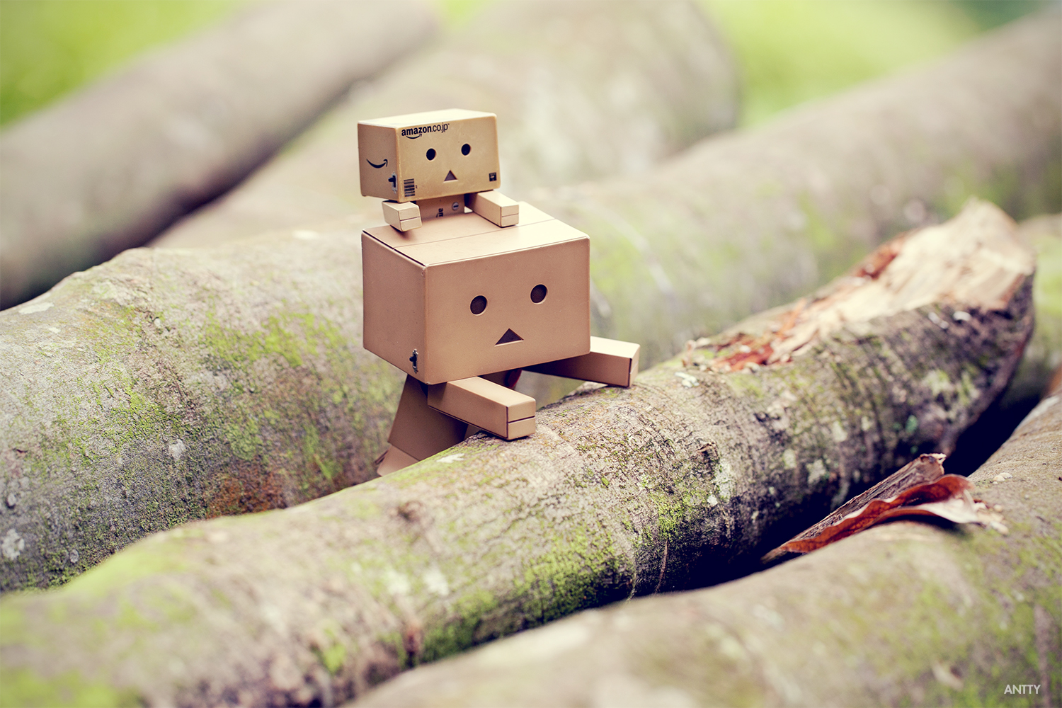 Together