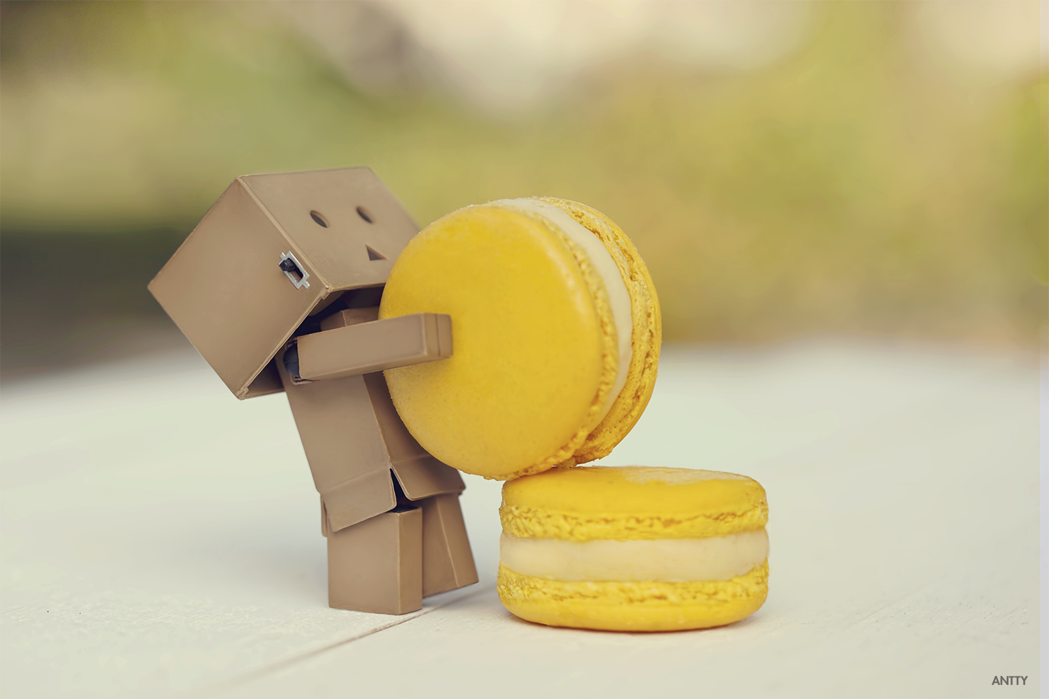 Macaron
