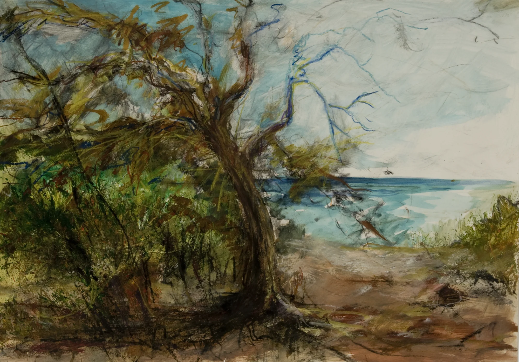 Giglio Island Tree *(sold/verkauft)