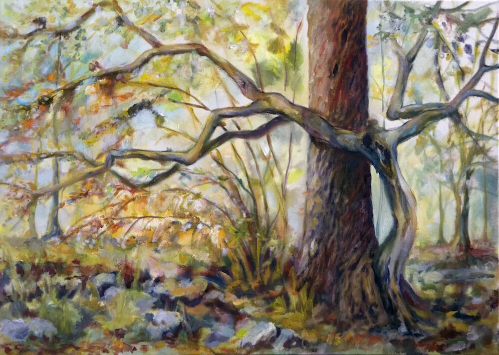 stefan_henke_artist_trees.jpg