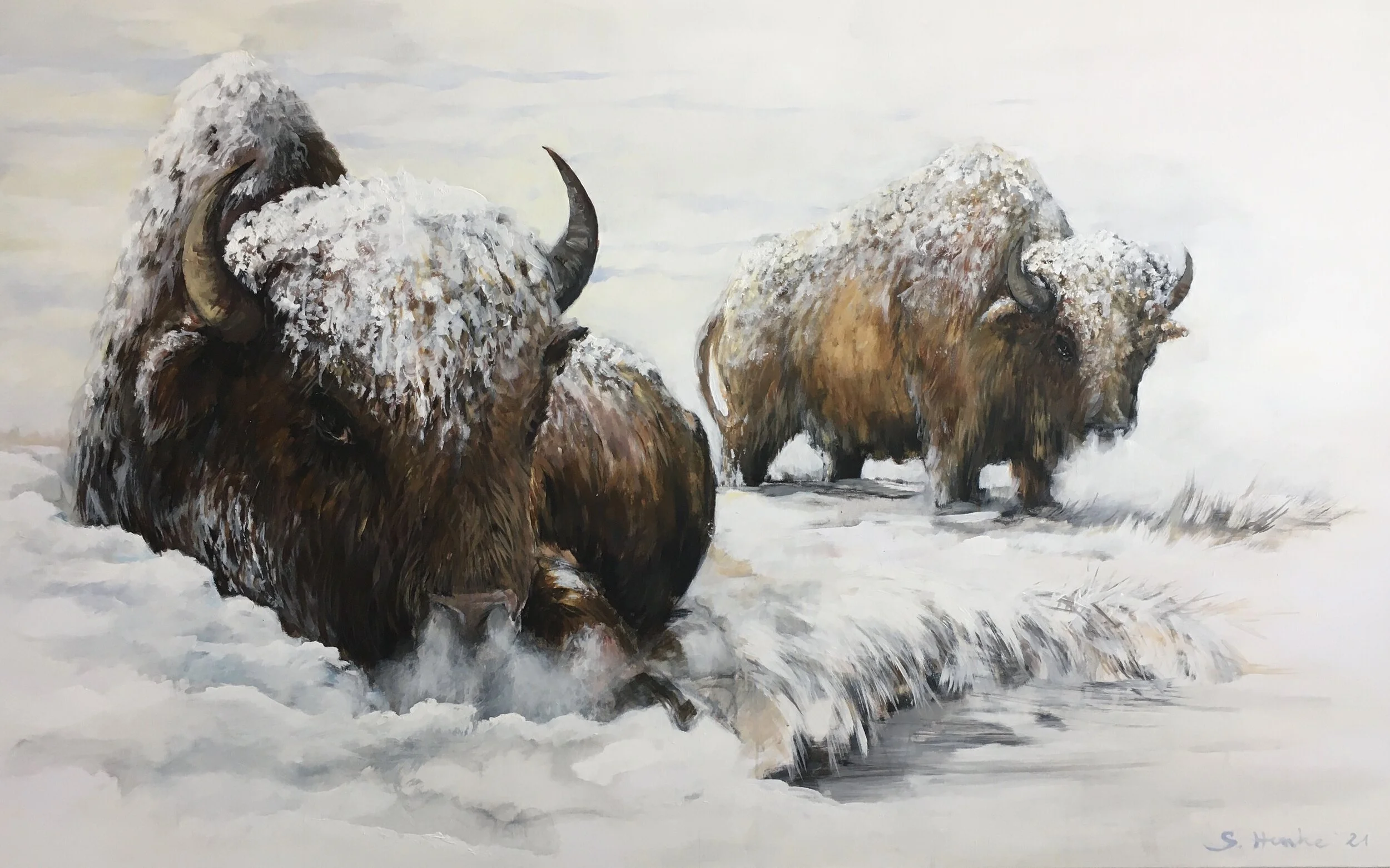 stefan_henke_artist_snow_buffalos.jpg