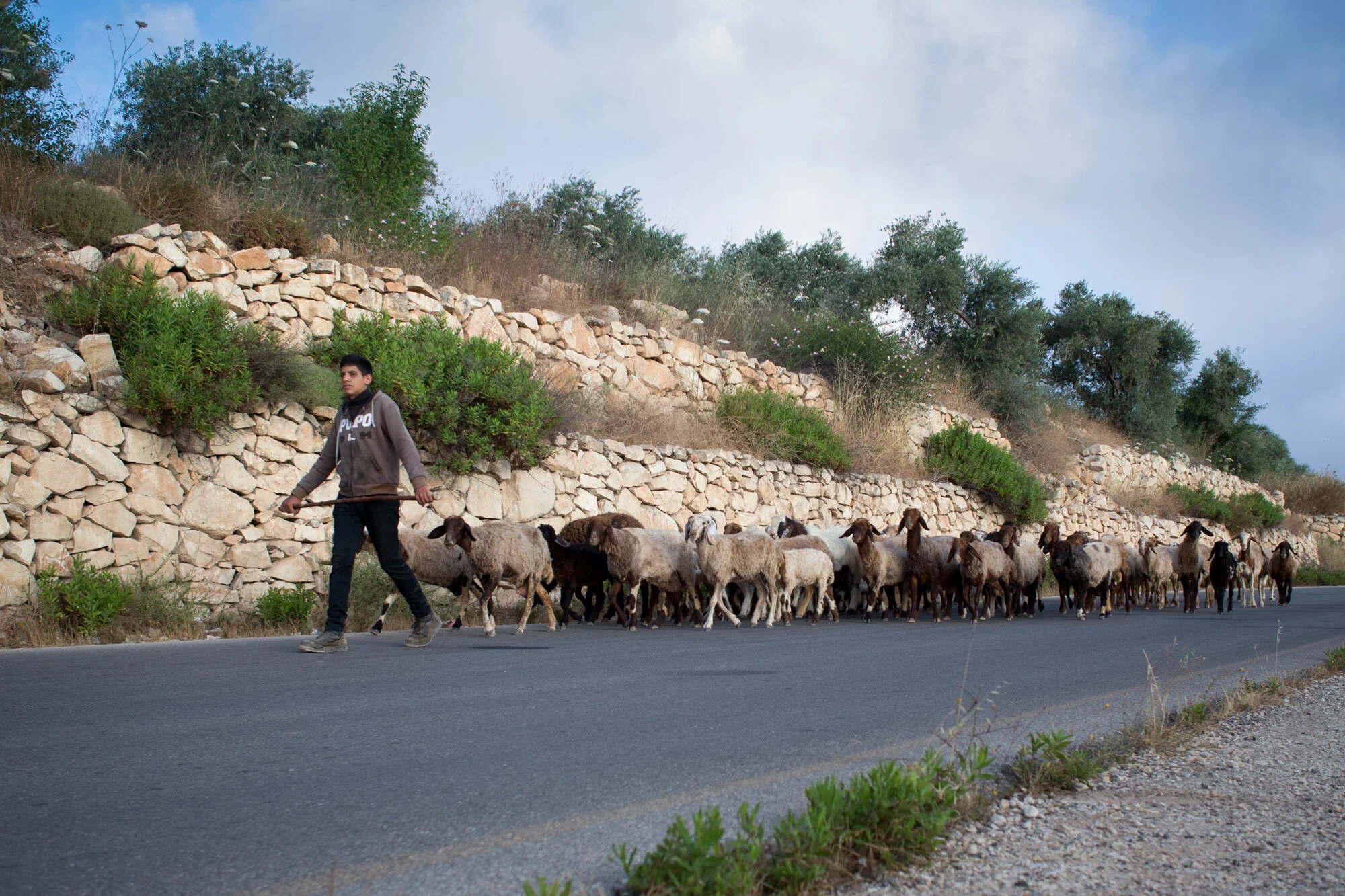 WestBankFood-3.jpg