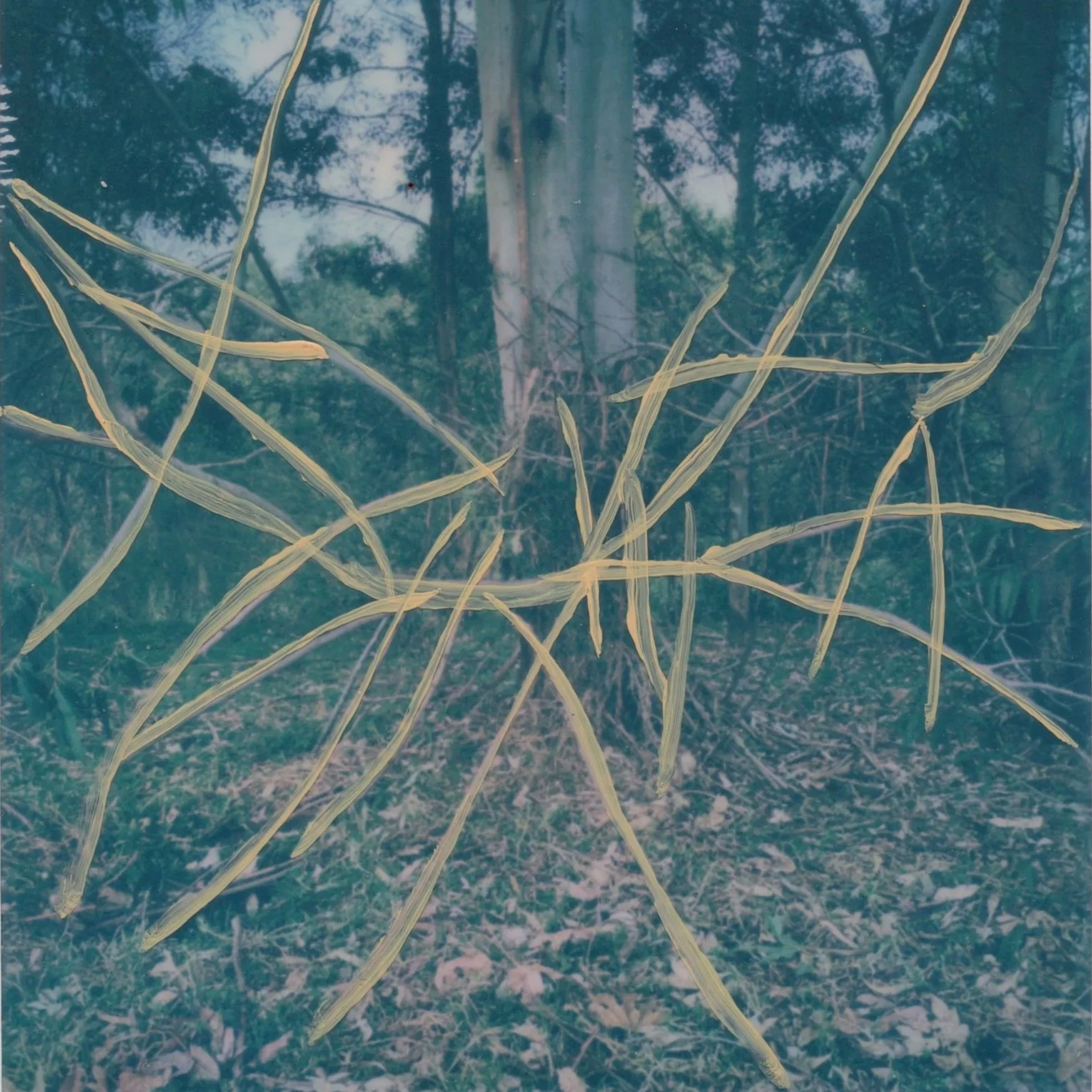 Bundanon+polaroid+7.jpg
