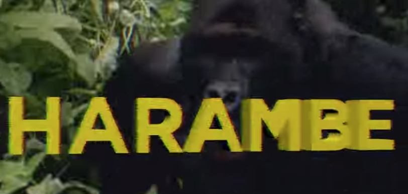 WATCH: DUMBFOUNDEAD'S 'HARAMBE' MV EXPLORE'S THE DEATH OF 2016'S HERO