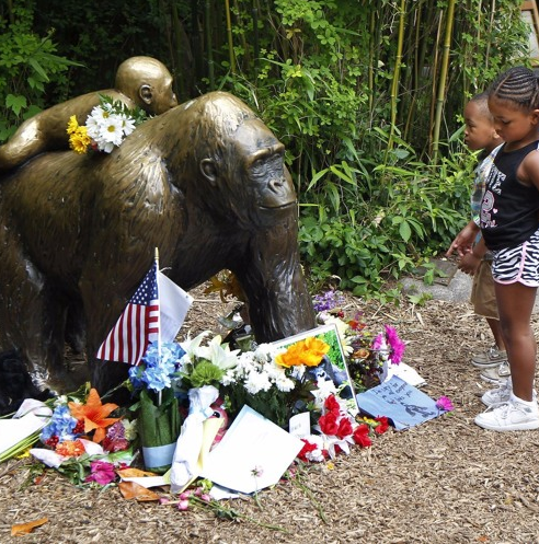 LISTEN: THE DICKS ARE OUT IN 'WE ARE ALL HARAMBE' SONG; SAMPLES BAG RAIDERS' 'SHOOTING STARS'